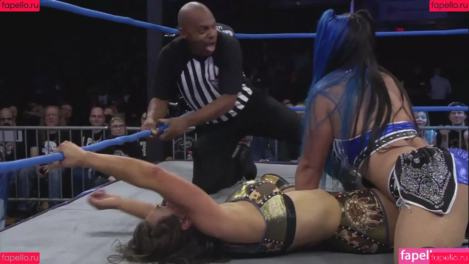 Mickie James Onlyfans Photo Gallery 