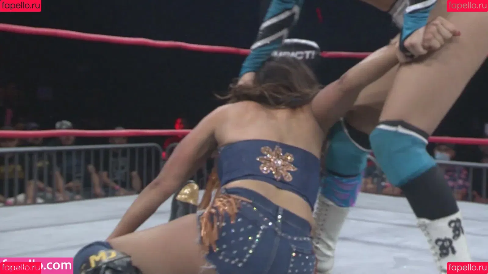 Mickie James Onlyfans Photo Gallery 