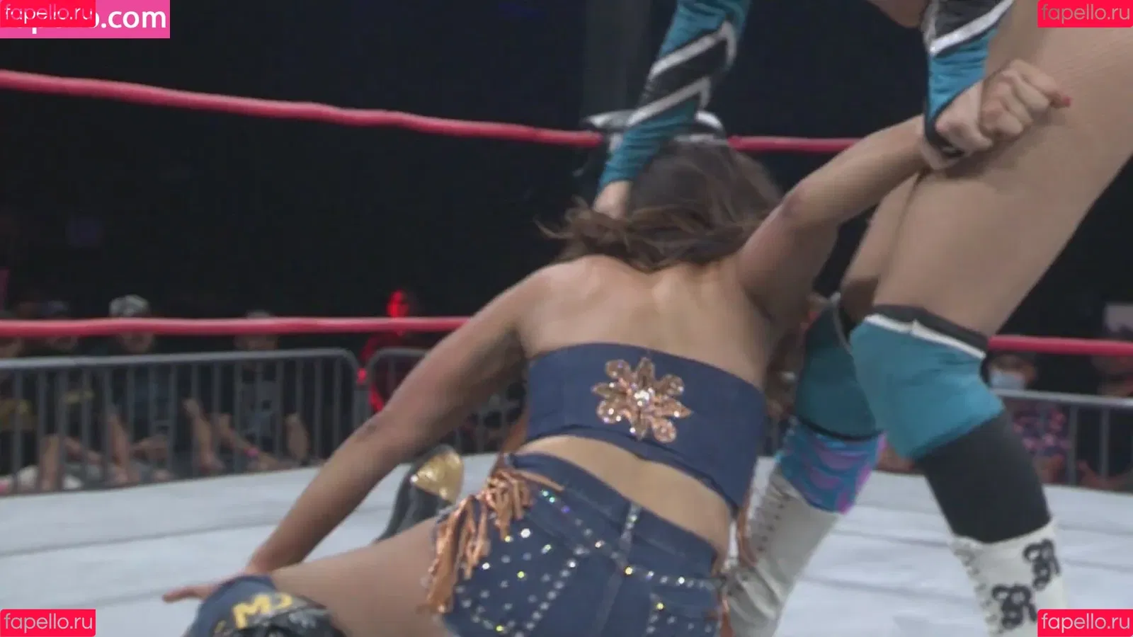 Mickie James Onlyfans Photo Gallery 