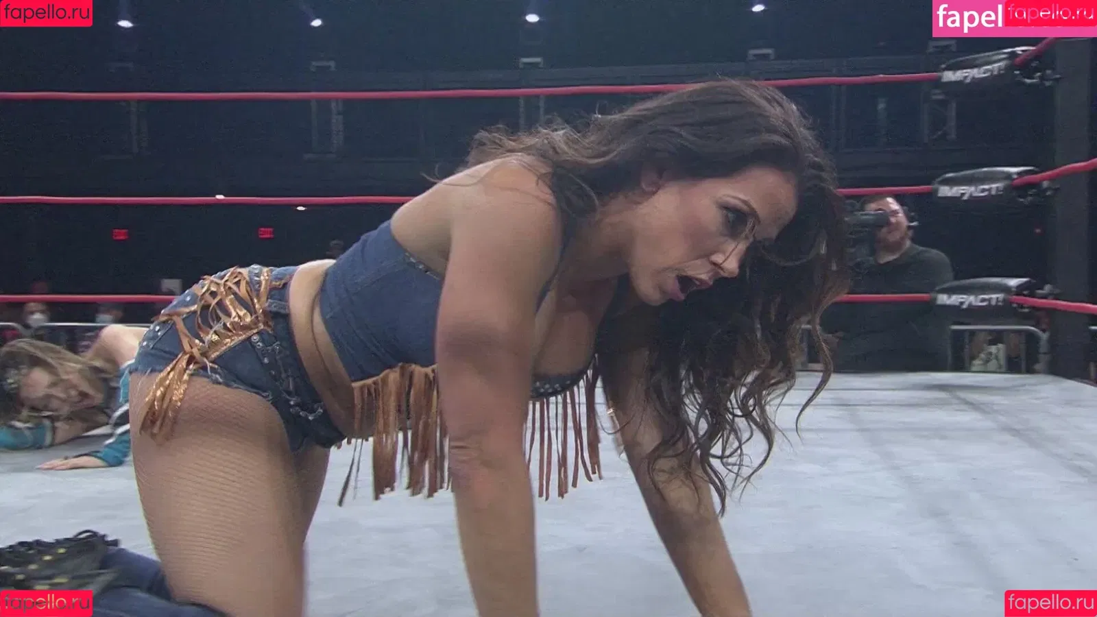 Mickie James Onlyfans Photo Gallery 