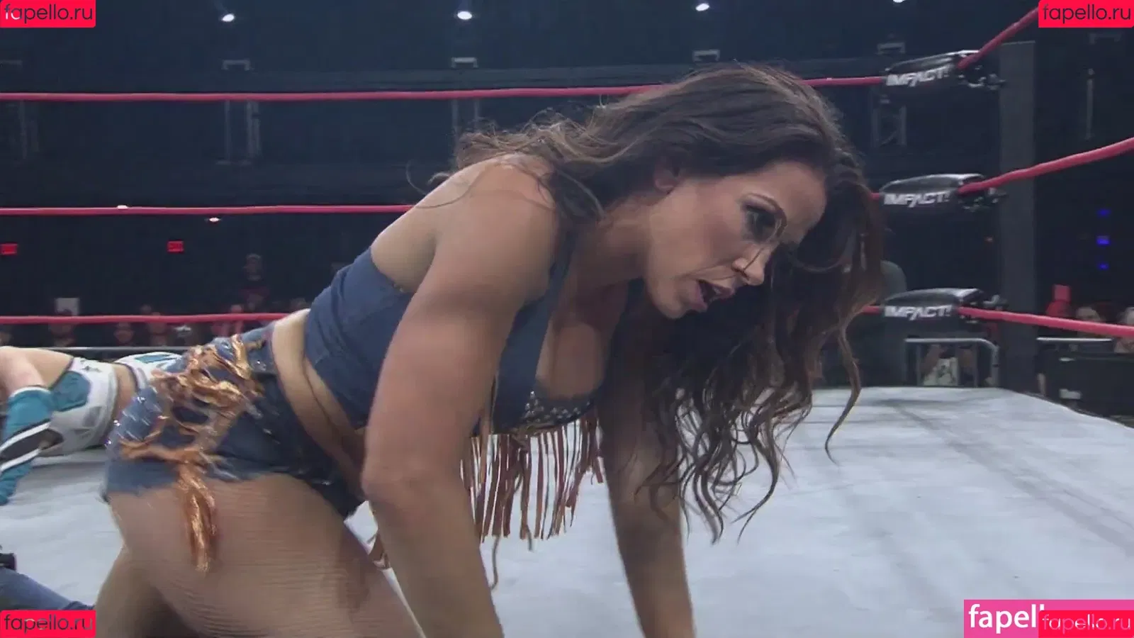Mickie James Onlyfans Photo Gallery 