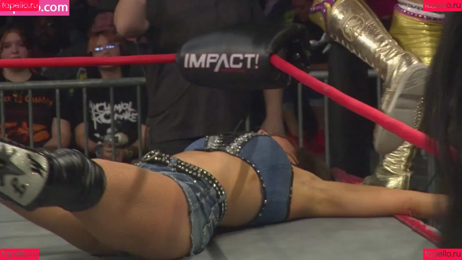 Mickie James Onlyfans Photo Gallery 