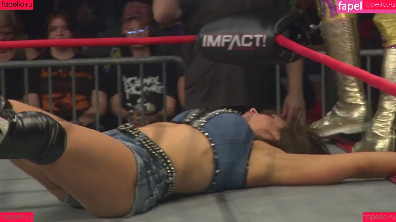 Mickie James Onlyfans Photo Gallery 