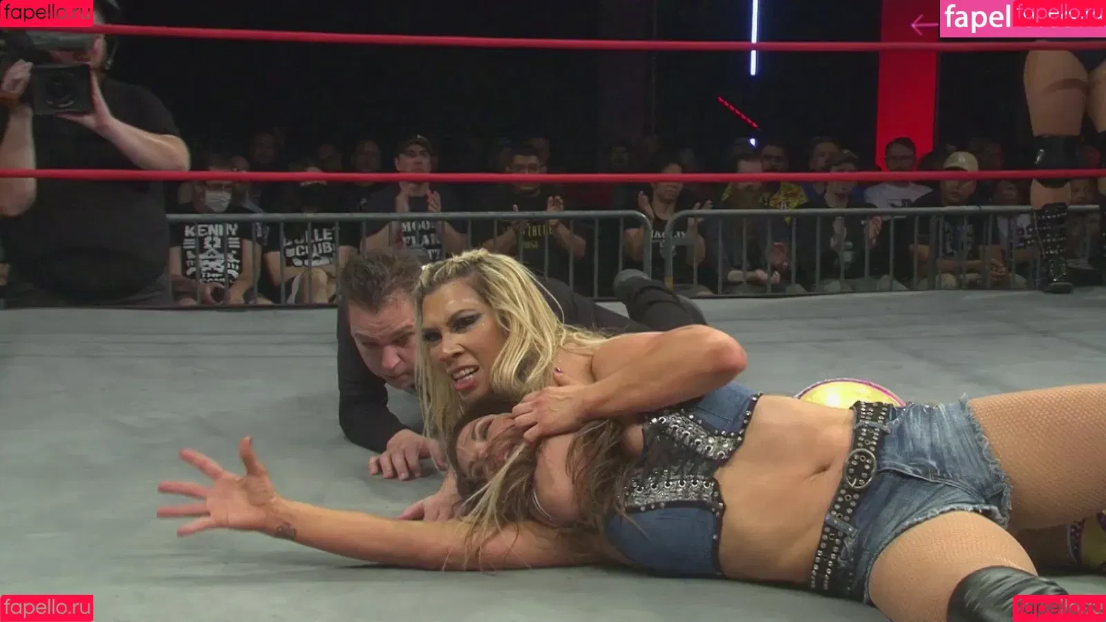 Mickie James Onlyfans Photo Gallery 