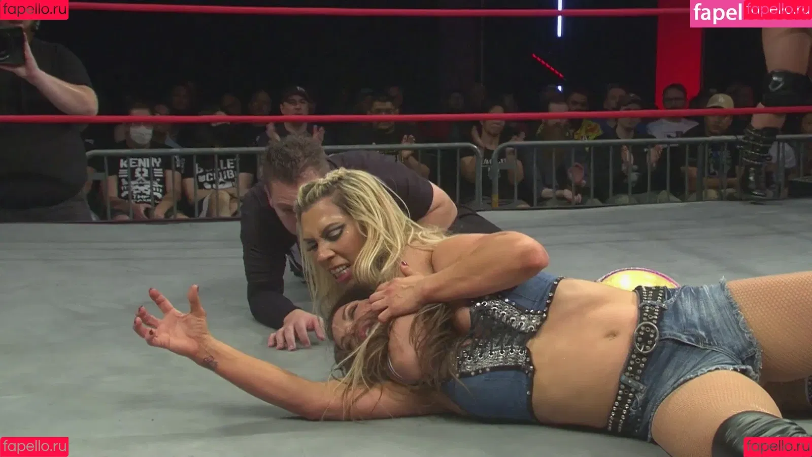 Mickie James Onlyfans Photo Gallery 