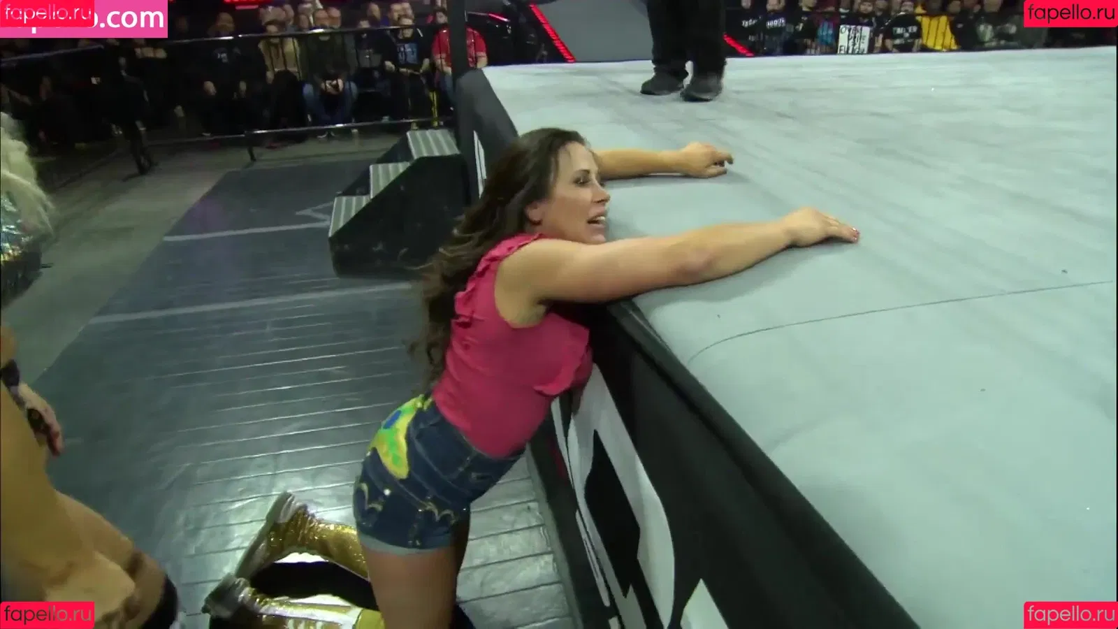 Mickie James Onlyfans Photo Gallery 