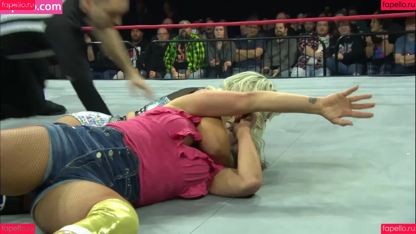 Mickie James Onlyfans Photo Gallery 