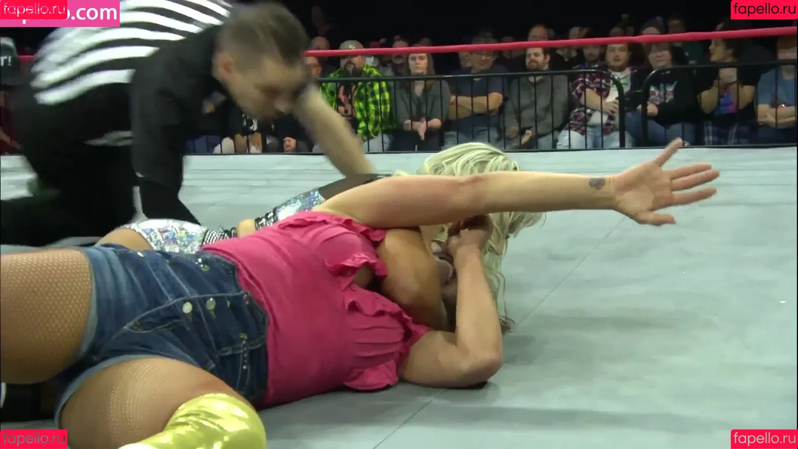 Mickie James Onlyfans Photo Gallery 
