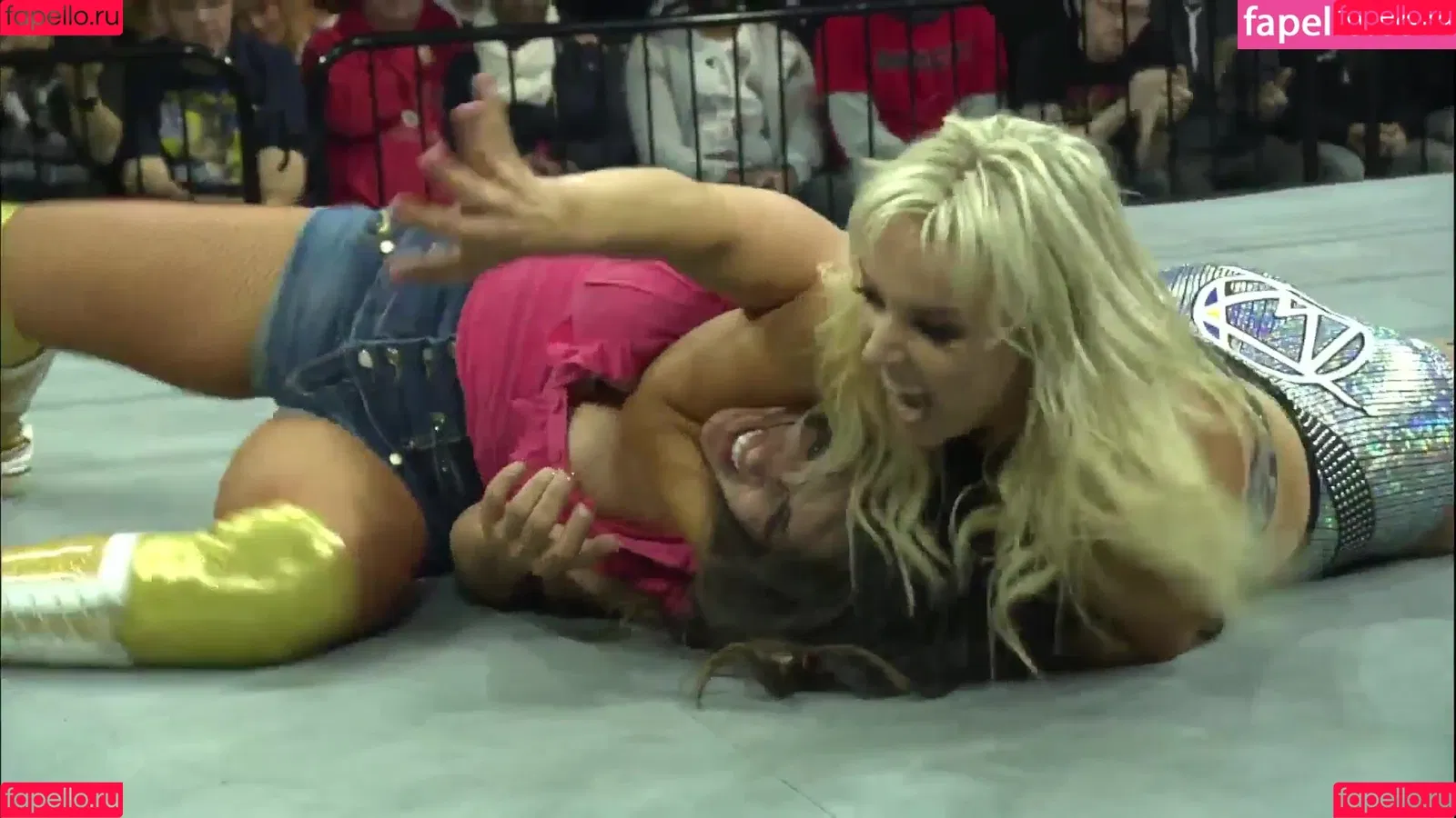 Mickie James Onlyfans Photo Gallery 