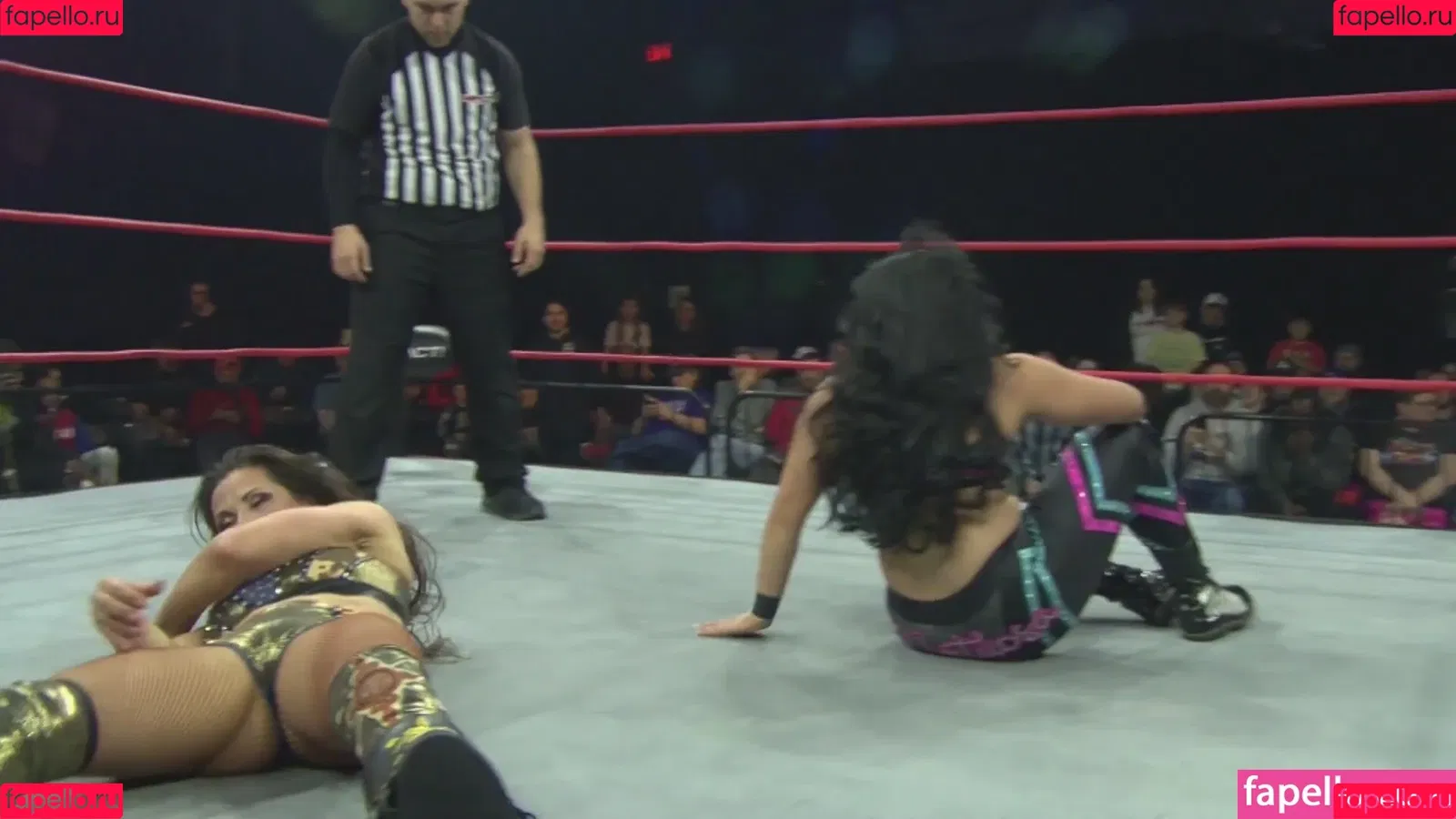 Mickie James Onlyfans Photo Gallery 