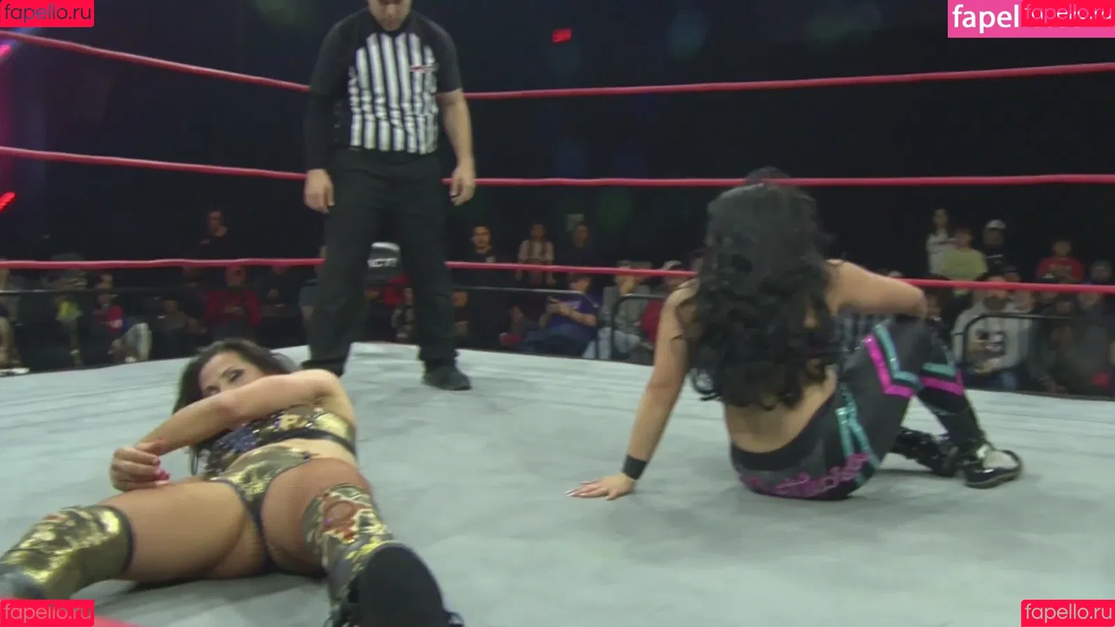 Mickie James Onlyfans Photo Gallery 