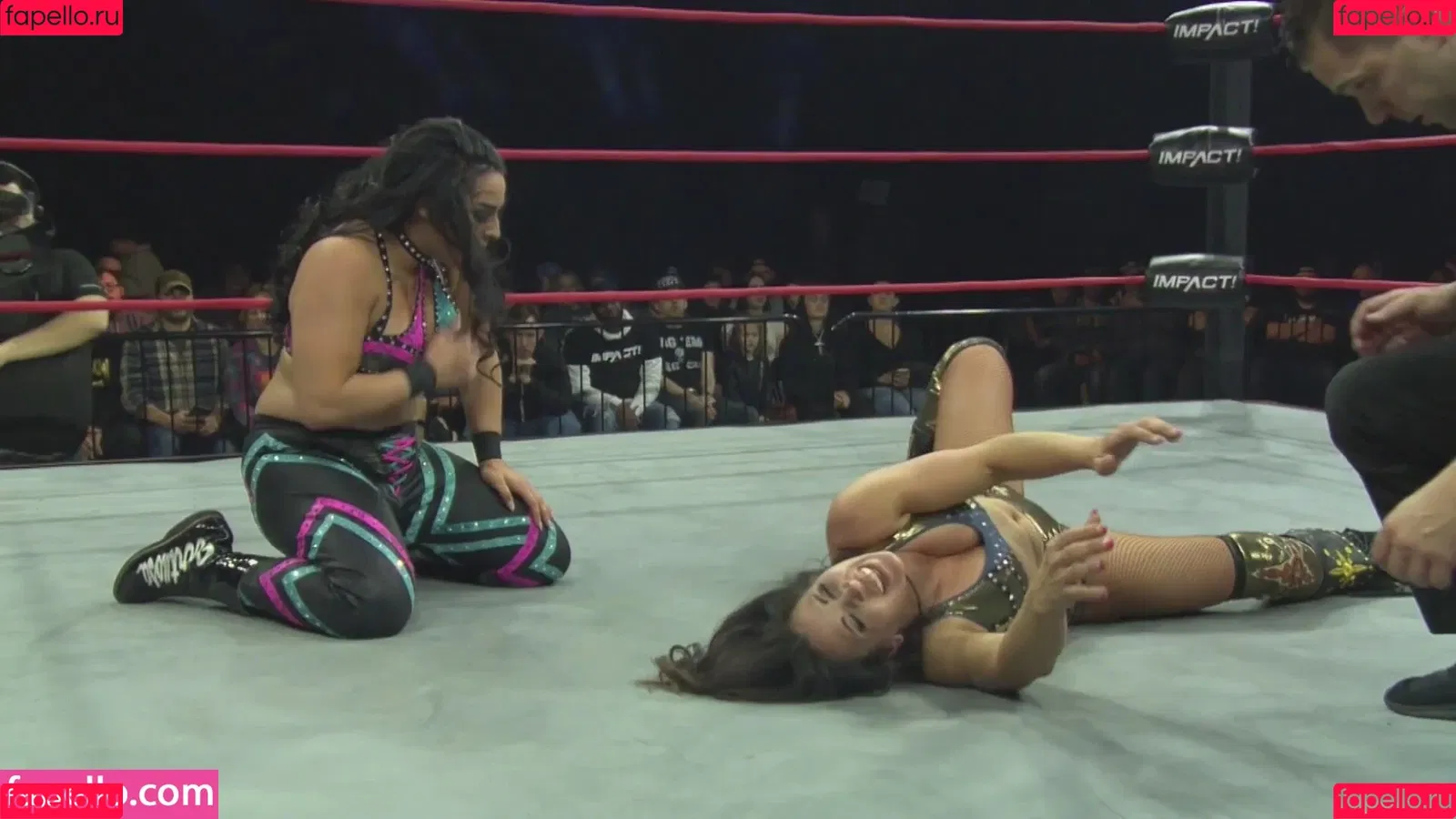 Mickie James Onlyfans Photo Gallery 