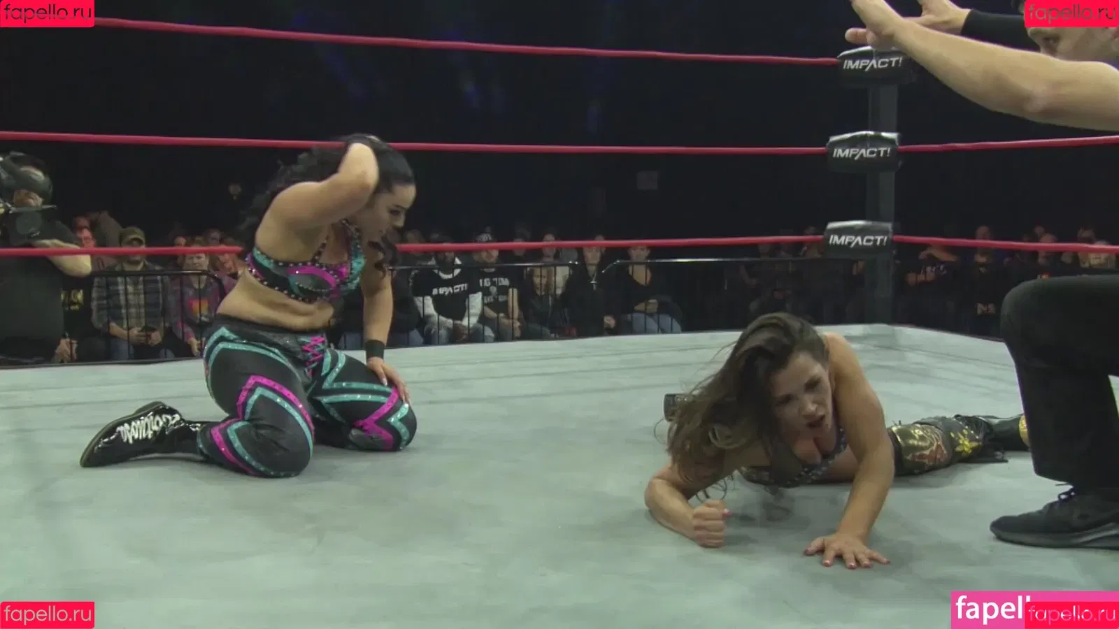 Mickie James Onlyfans Photo Gallery 