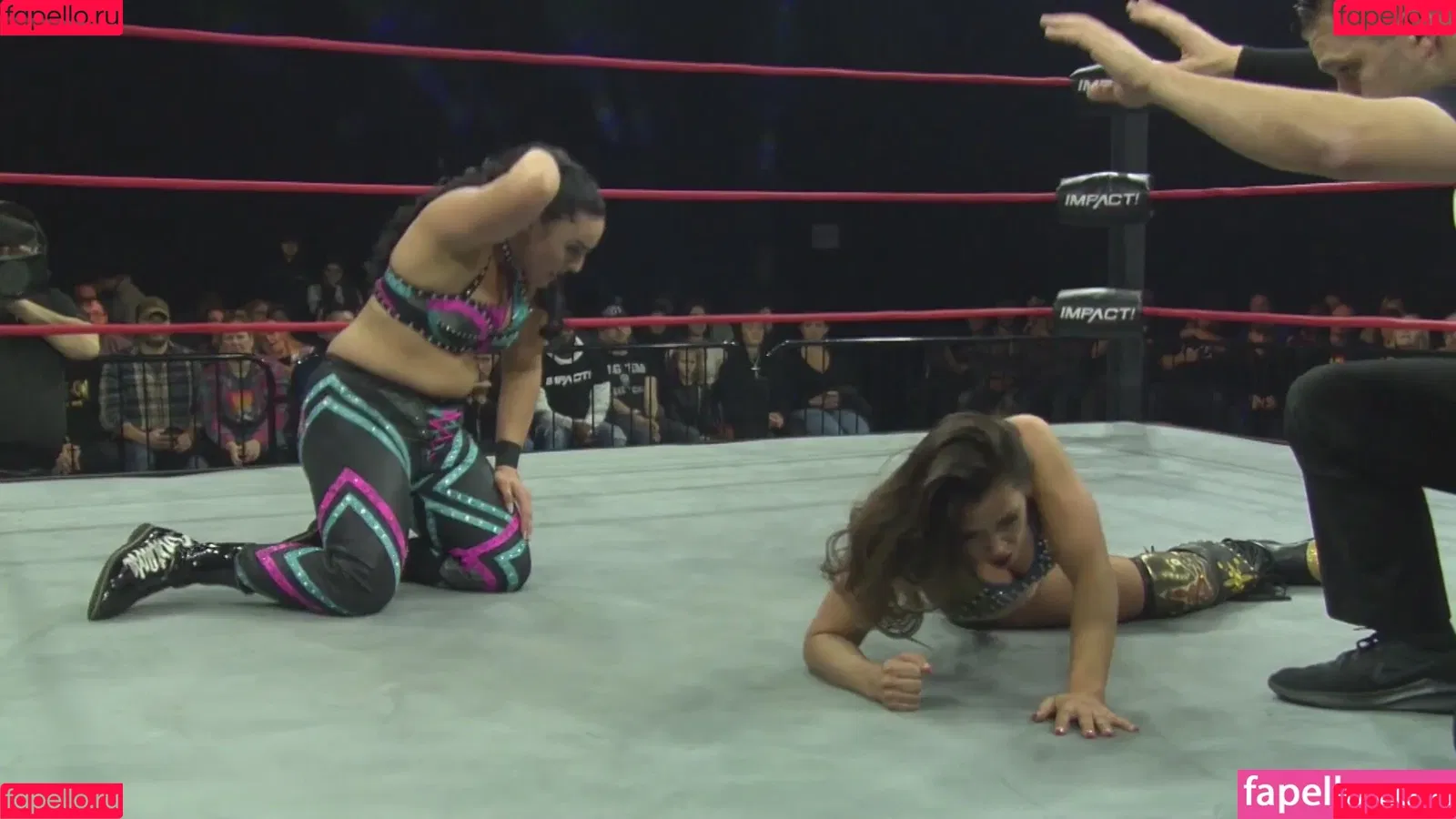 Mickie James Onlyfans Photo Gallery 