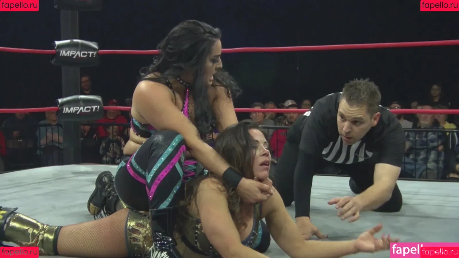 Mickie James Onlyfans Photo Gallery 
