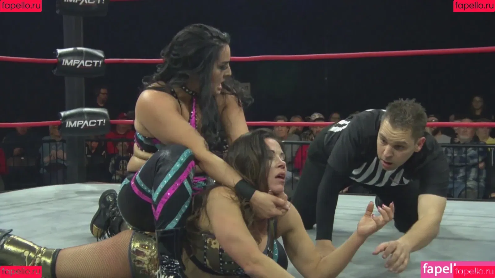 Mickie James Onlyfans Photo Gallery 