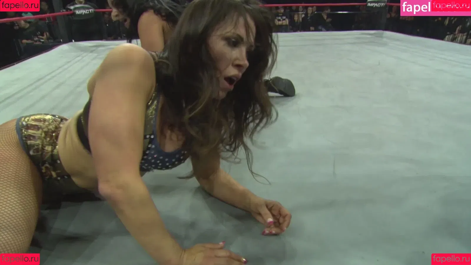 Mickie James Onlyfans Photo Gallery 