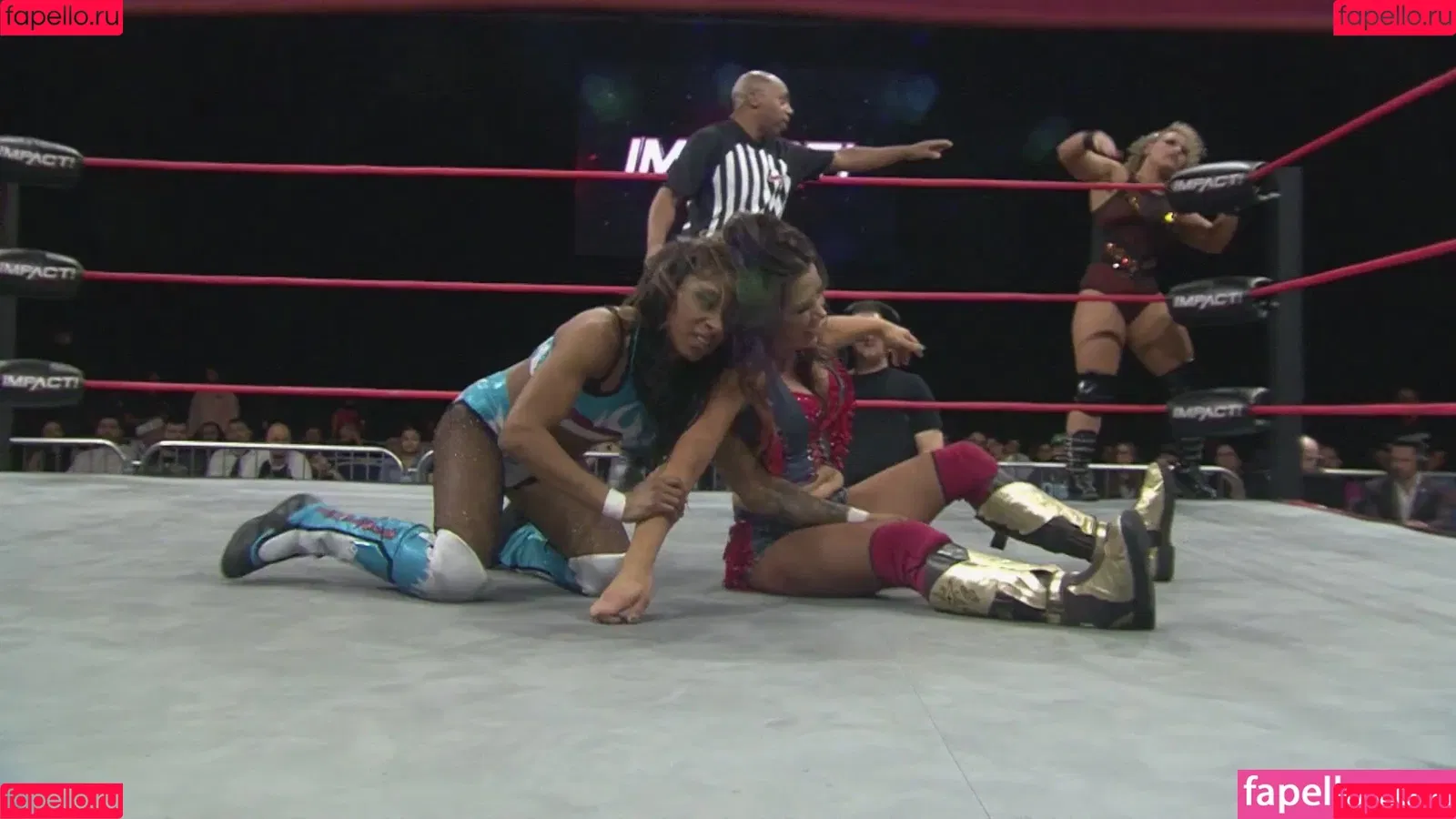 Mickie James Onlyfans Photo Gallery 