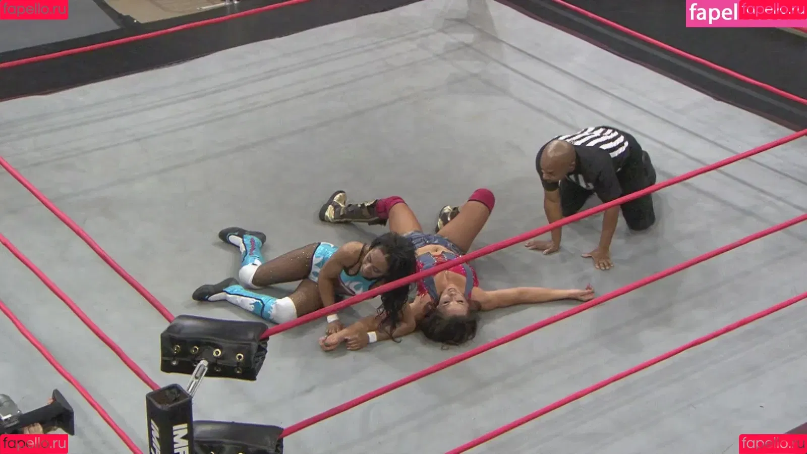 Mickie James Onlyfans Photo Gallery 