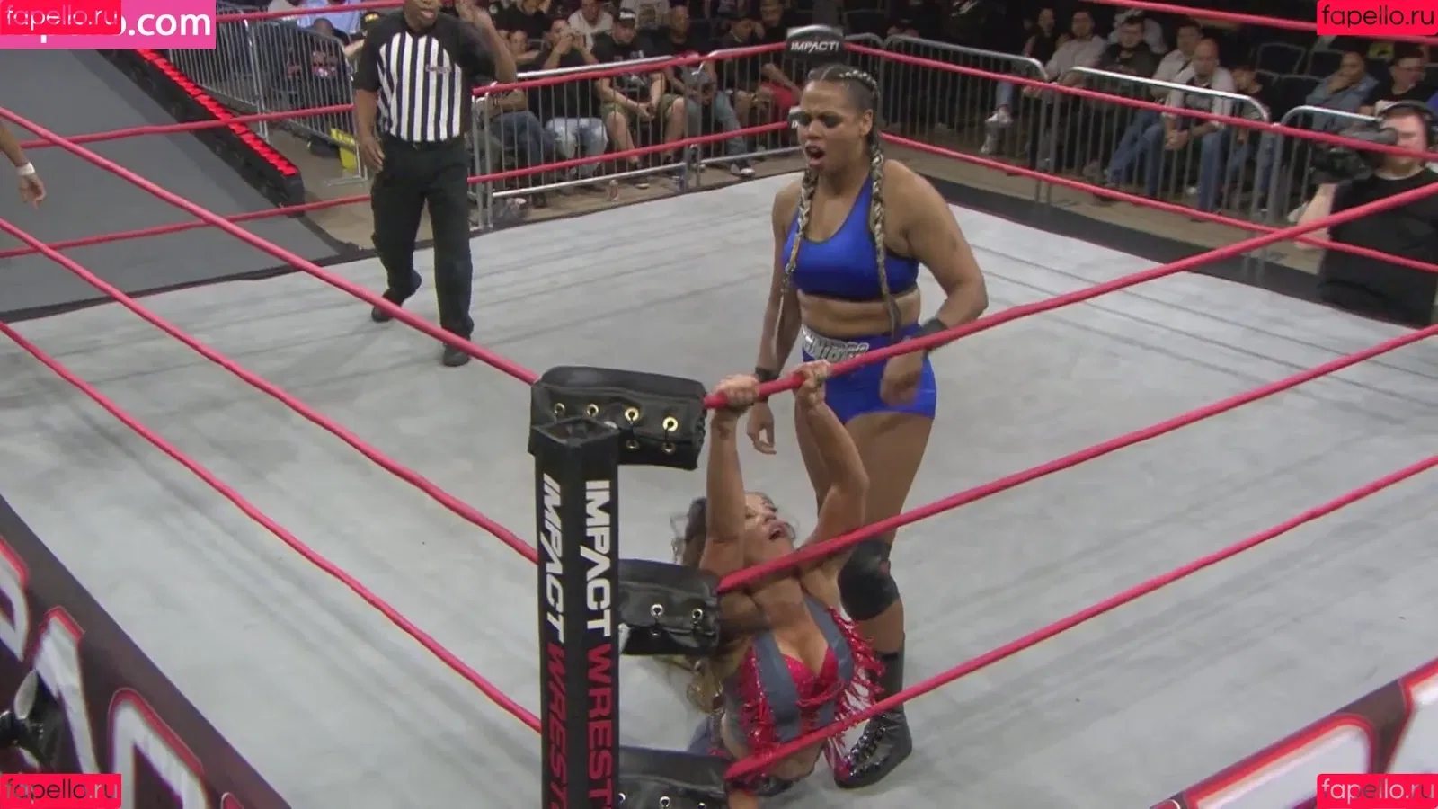 Mickie James Onlyfans Photo Gallery 