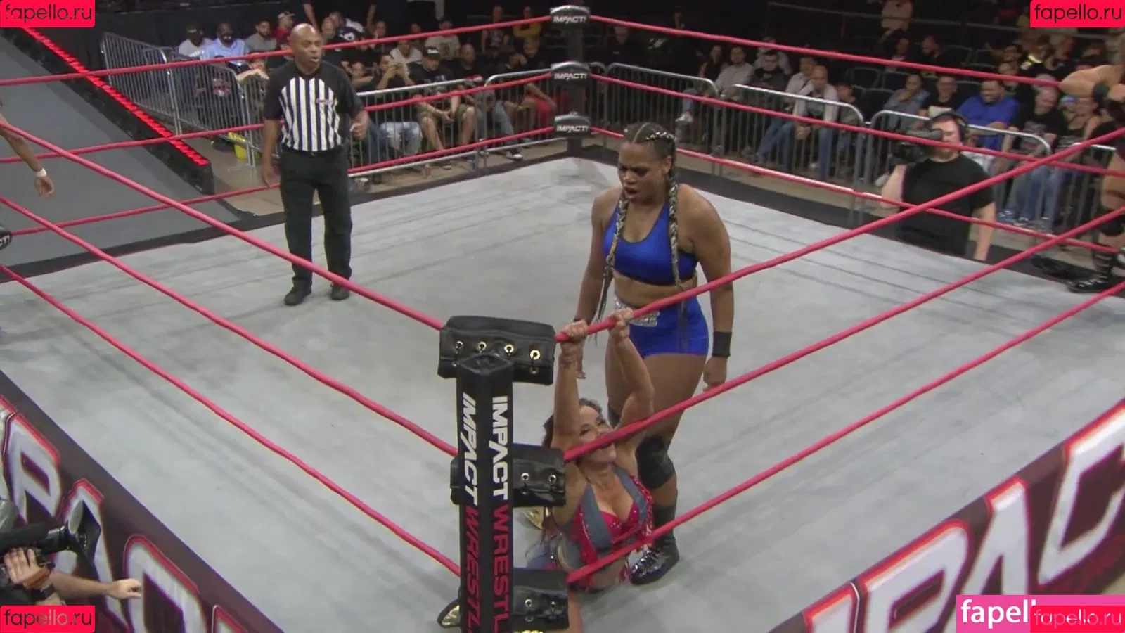 Mickie James Onlyfans Photo Gallery 