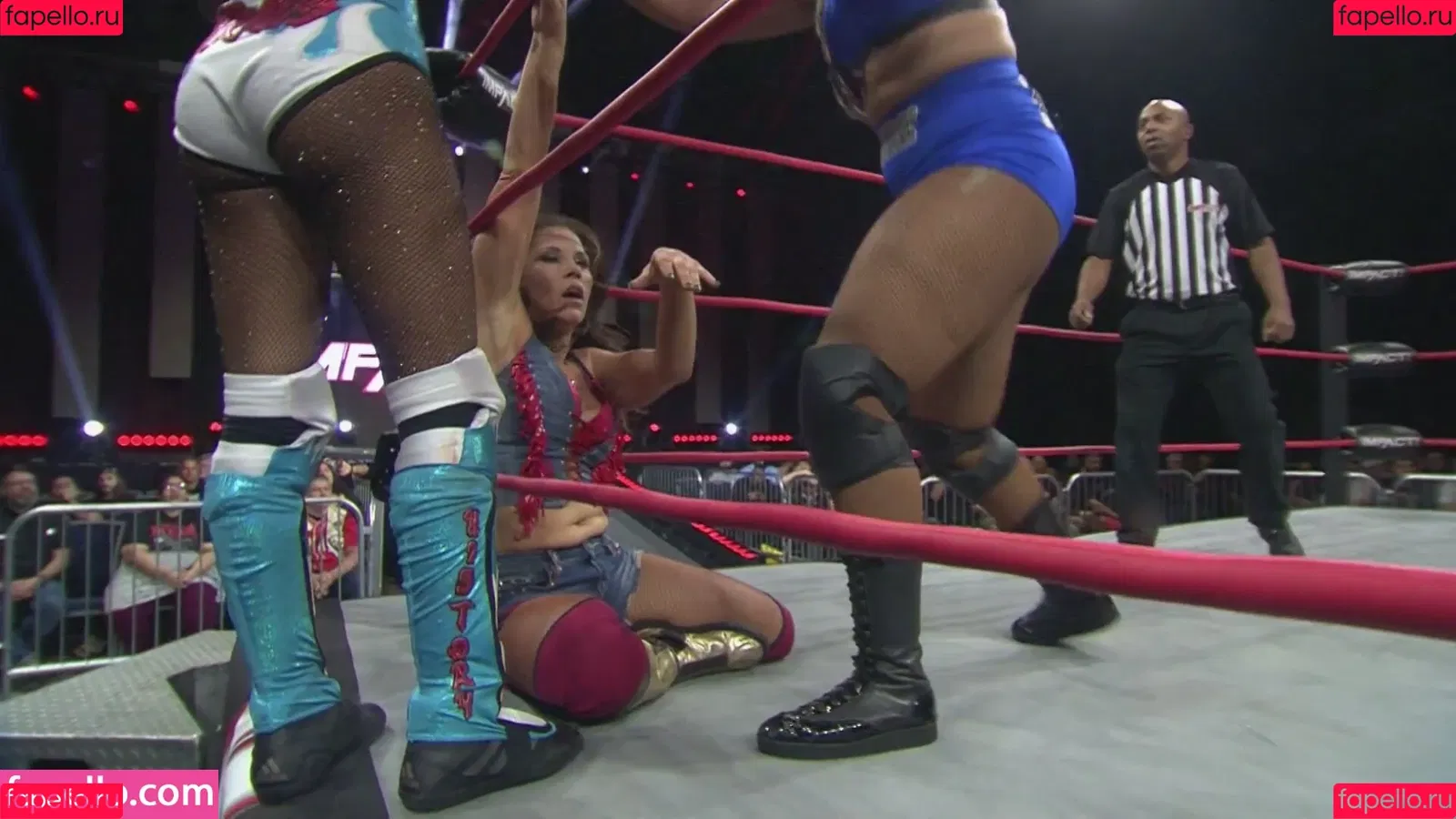 Mickie James Onlyfans Photo Gallery 