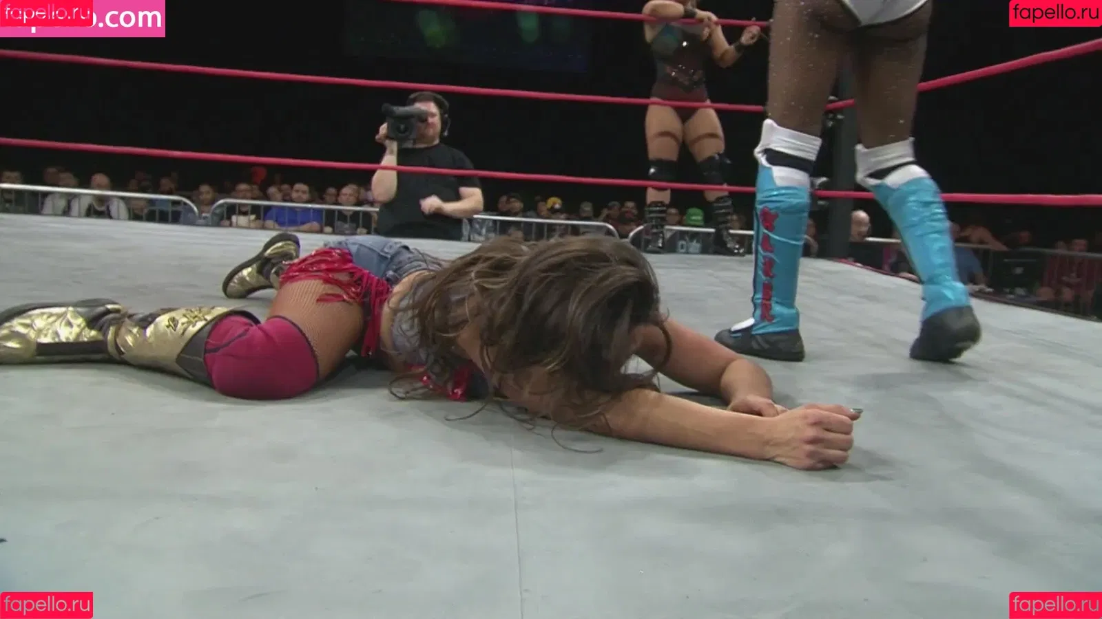 Mickie James Onlyfans Photo Gallery 