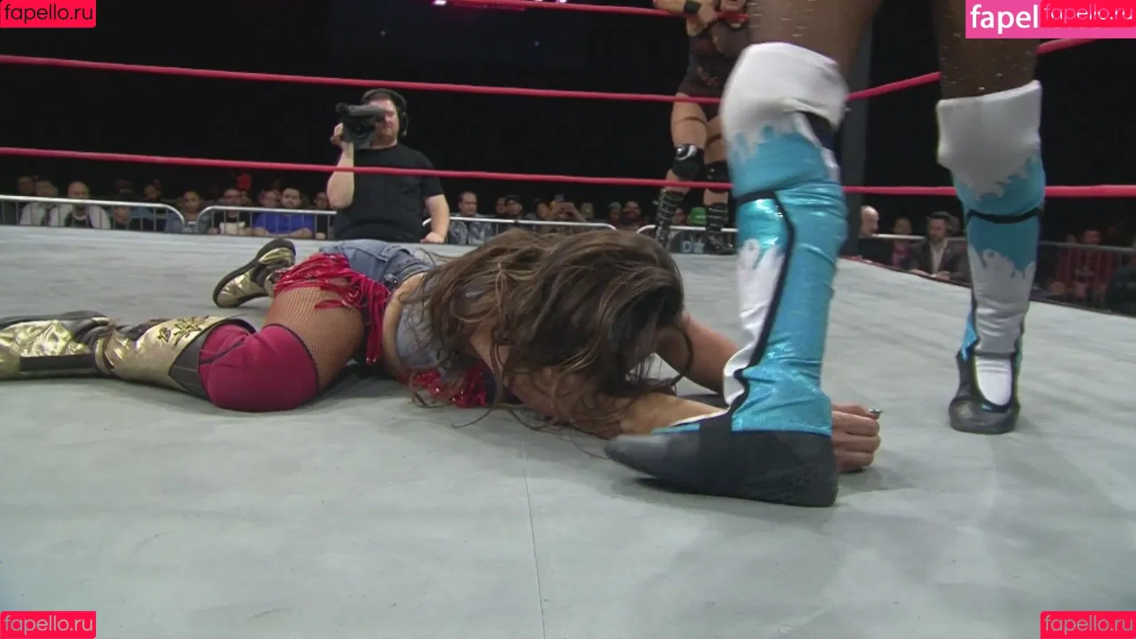 Mickie James Onlyfans Photo Gallery 