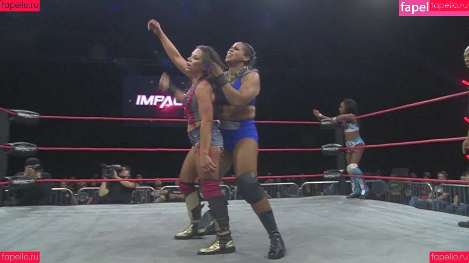 Mickie James Onlyfans Photo Gallery 