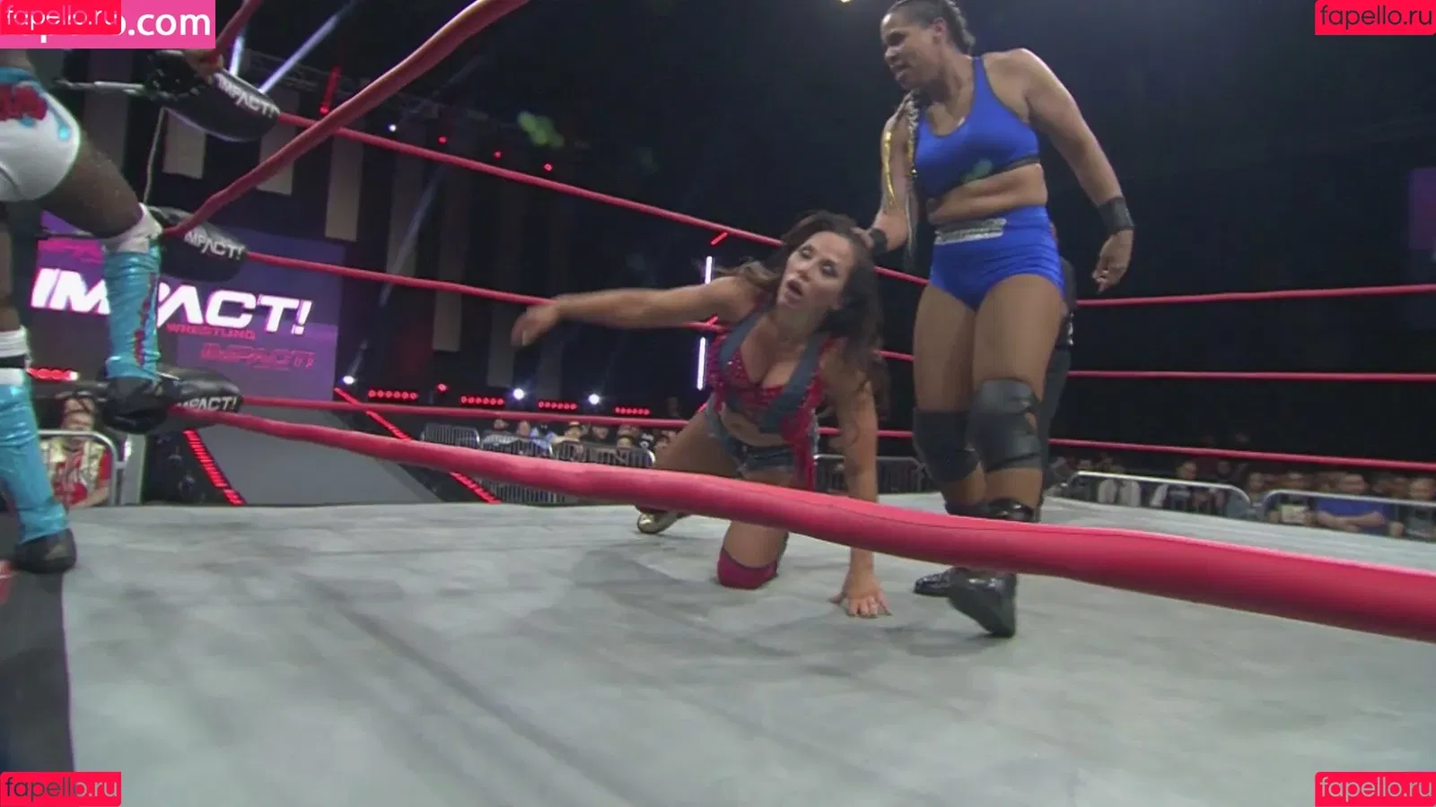 Mickie James Onlyfans Photo Gallery 