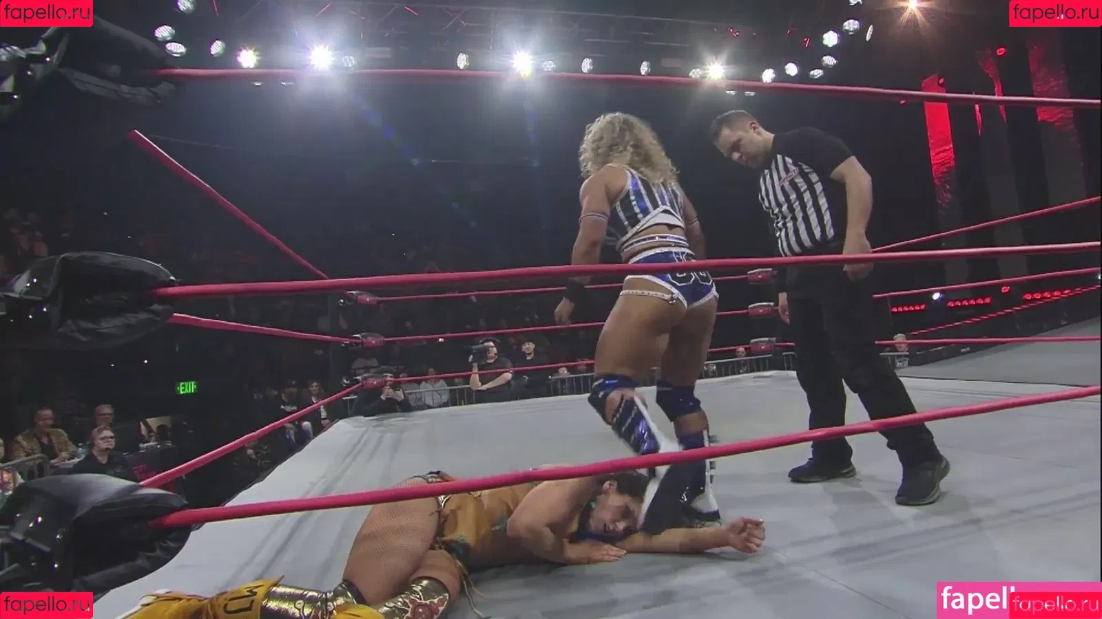 Mickie James Onlyfans Photo Gallery 