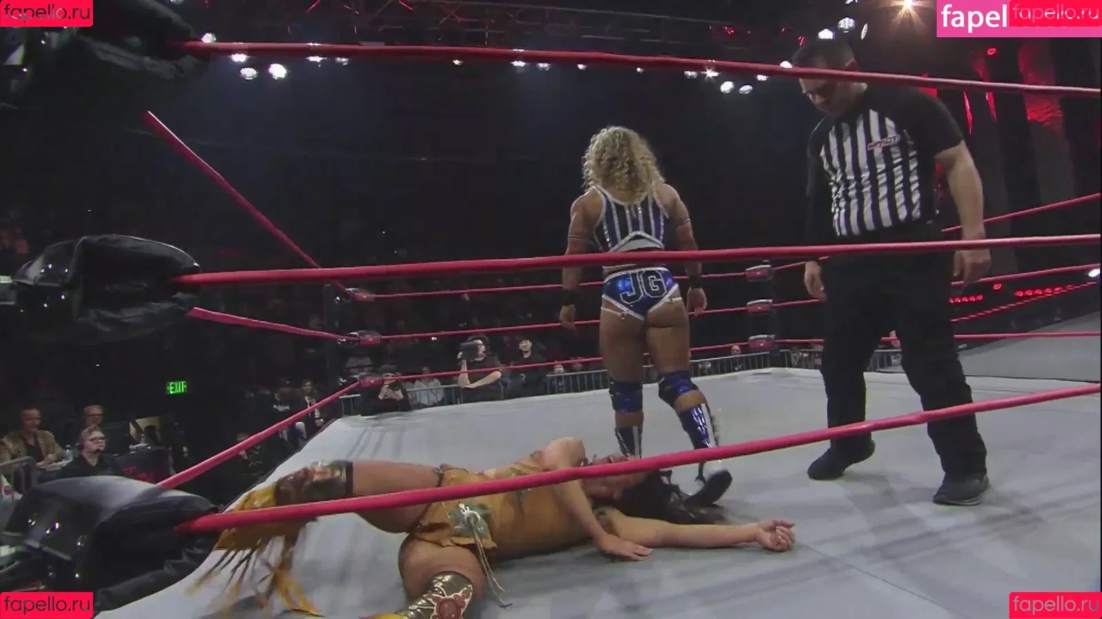 Mickie James Onlyfans Photo Gallery 