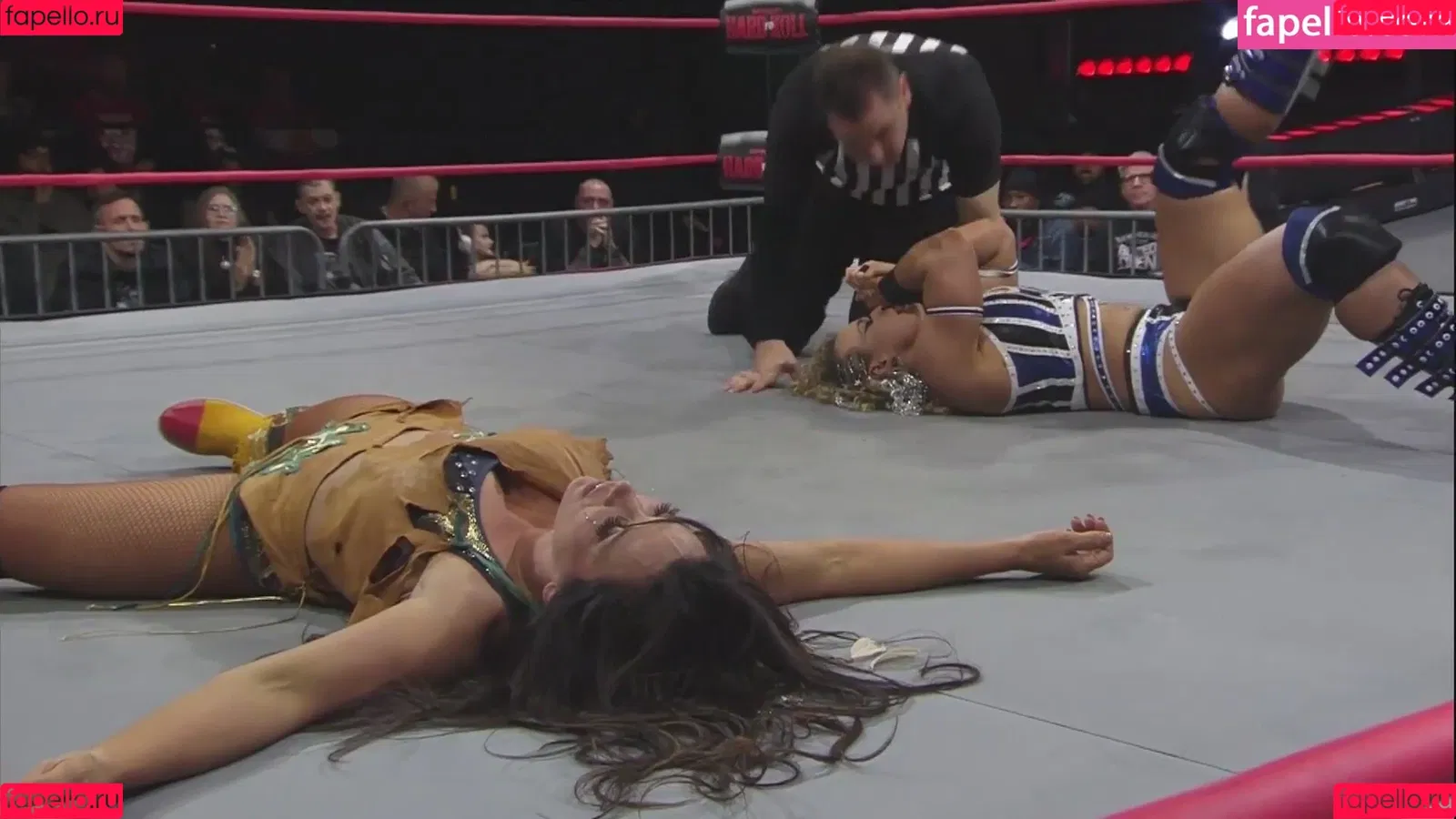 Mickie James Onlyfans Photo Gallery 