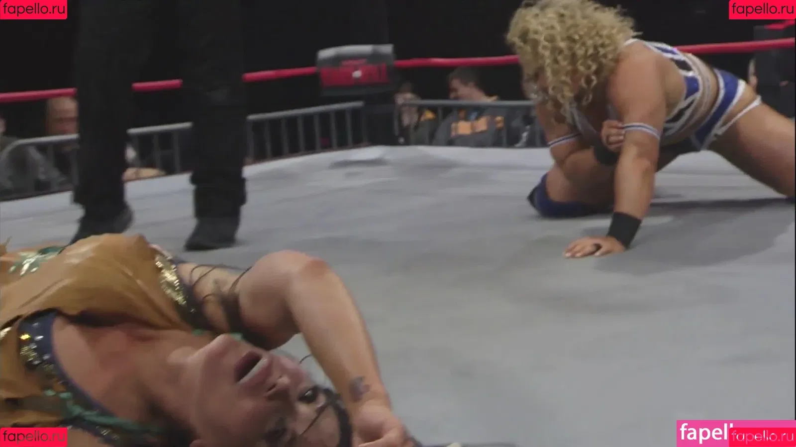 Mickie James Onlyfans Photo Gallery 