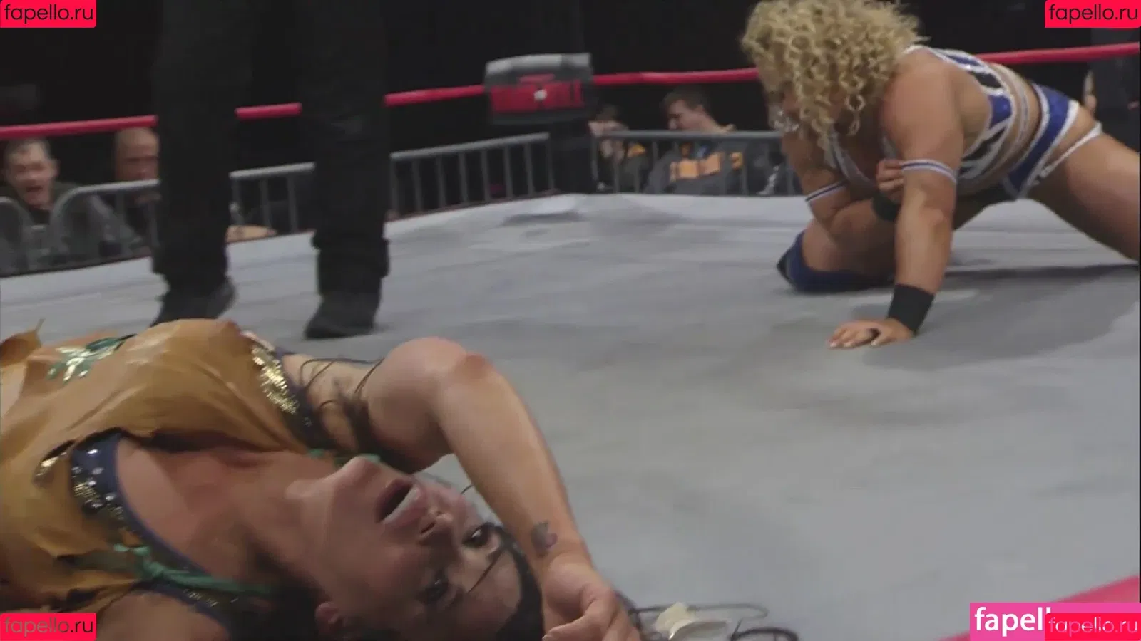 Mickie James Onlyfans Photo Gallery 