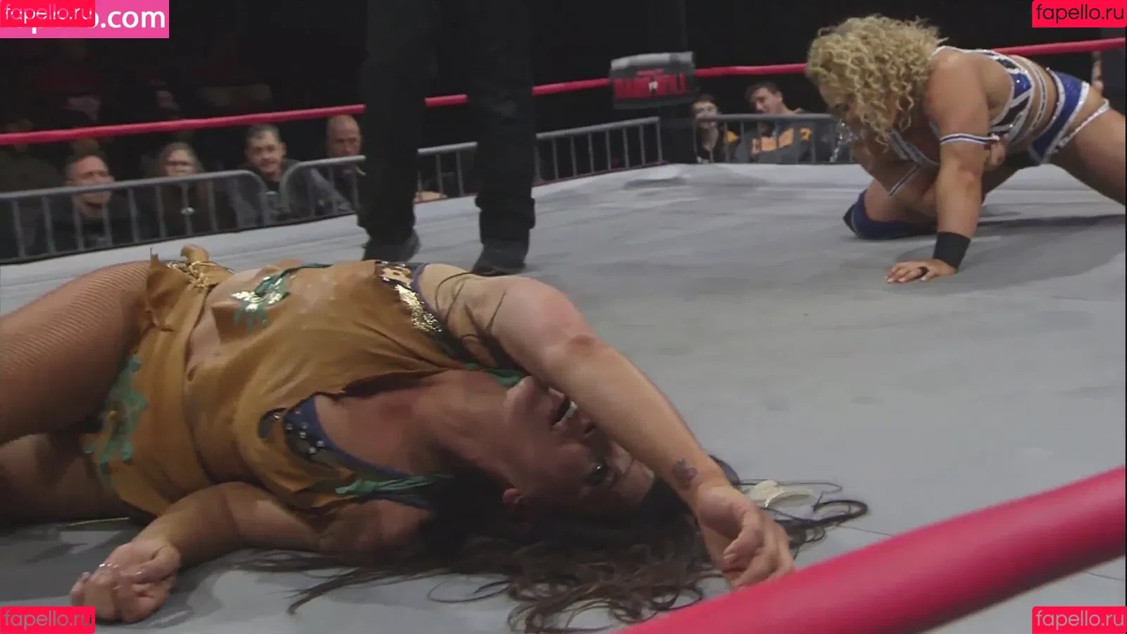 Mickie James Onlyfans Photo Gallery 