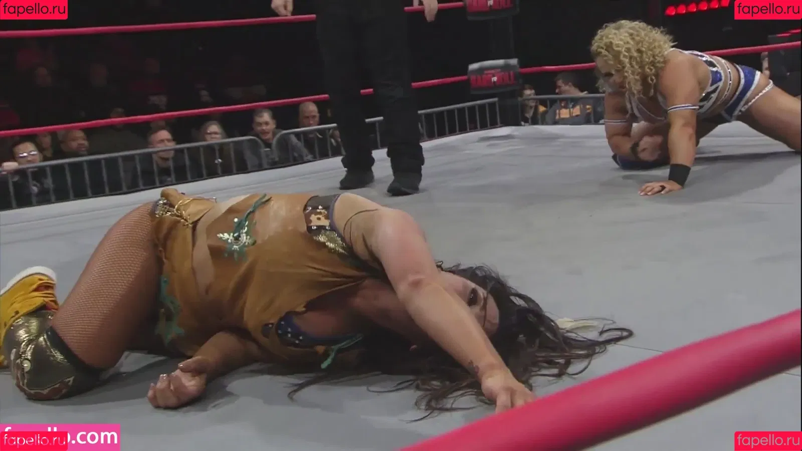 Mickie James Onlyfans Photo Gallery 