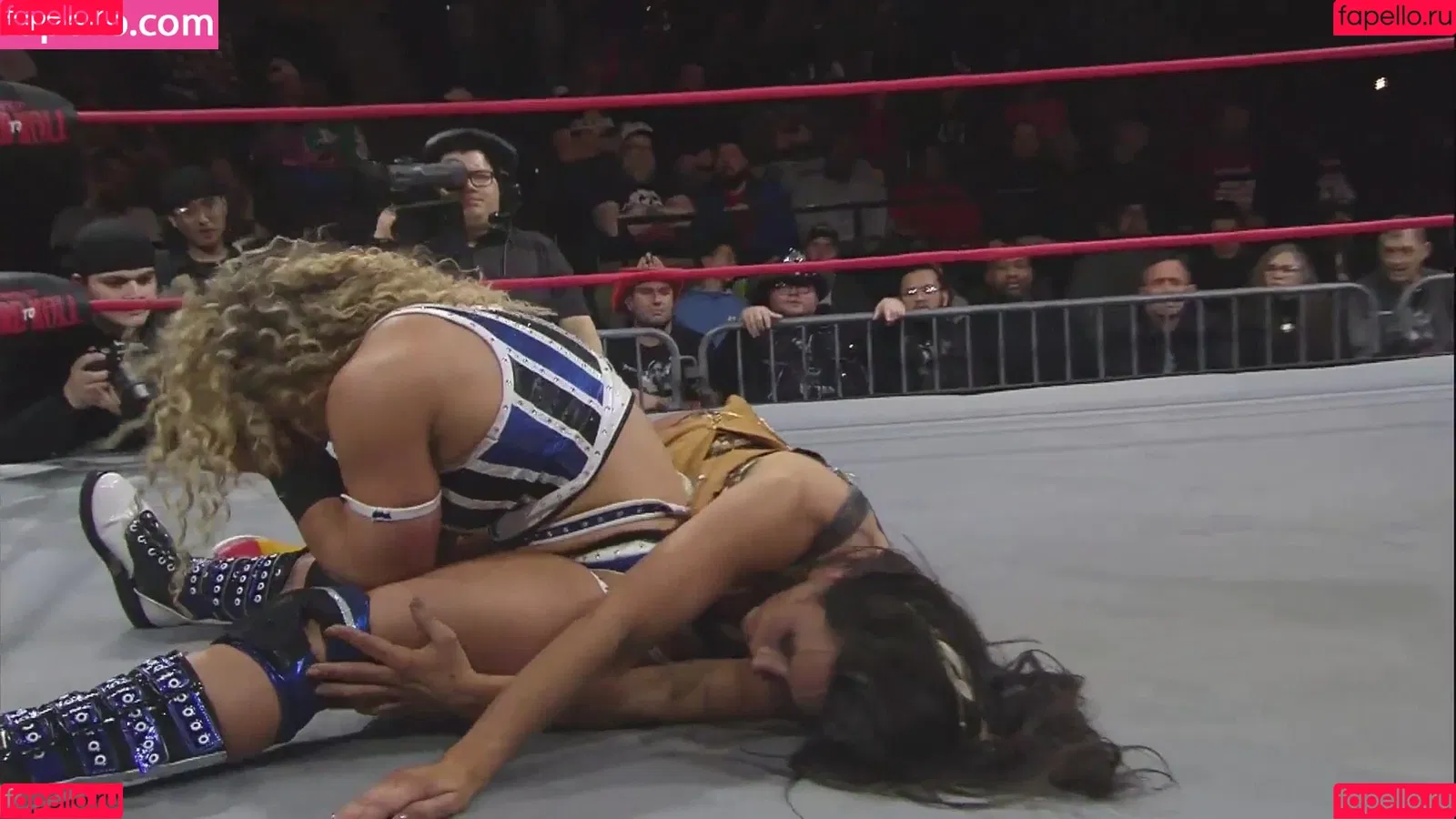 Mickie James Onlyfans Photo Gallery 
