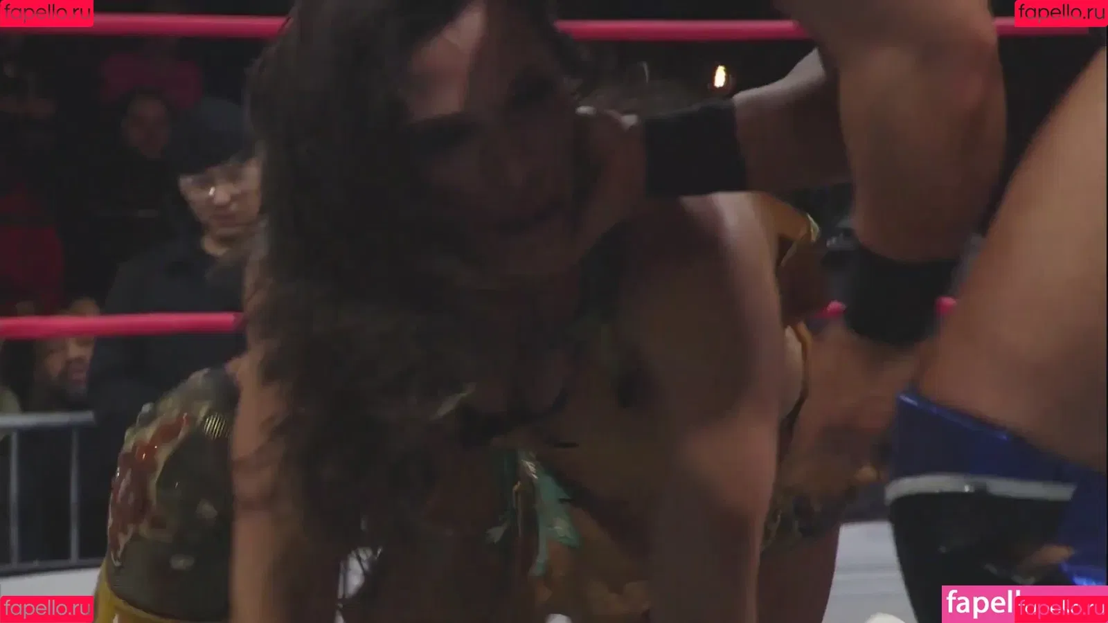 Mickie James Onlyfans Photo Gallery 