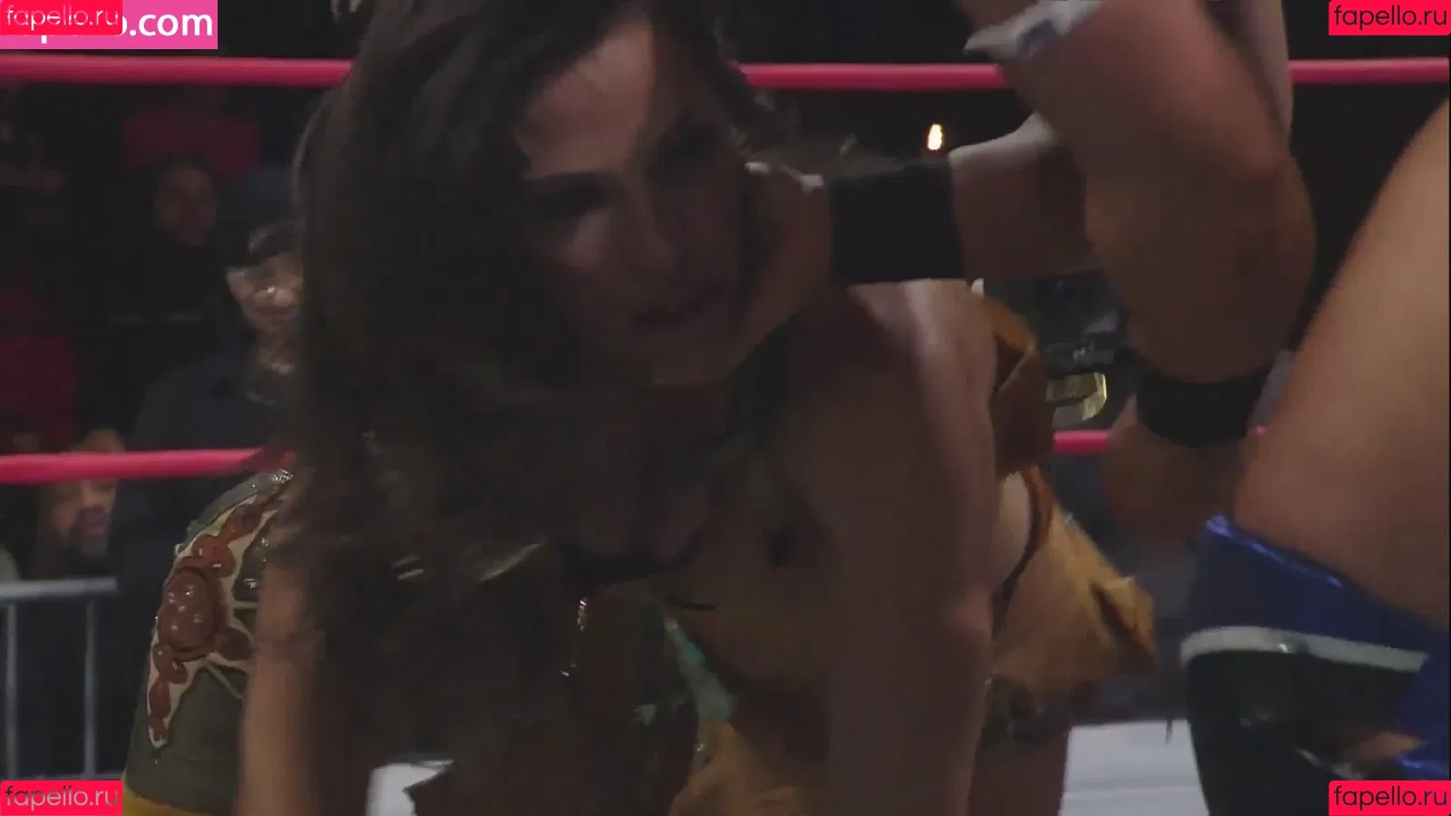 Mickie James Onlyfans Photo Gallery 