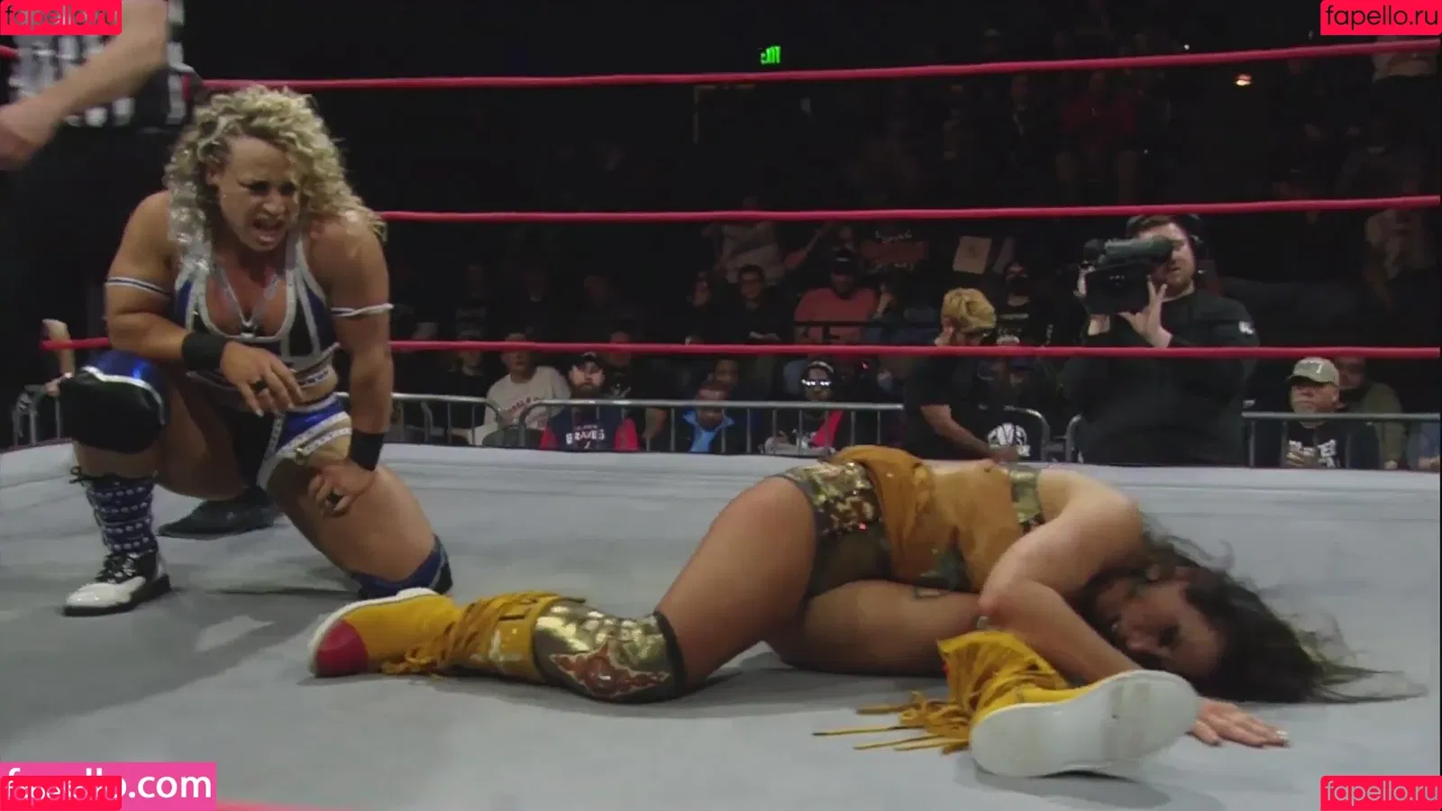 Mickie James Onlyfans Photo Gallery 