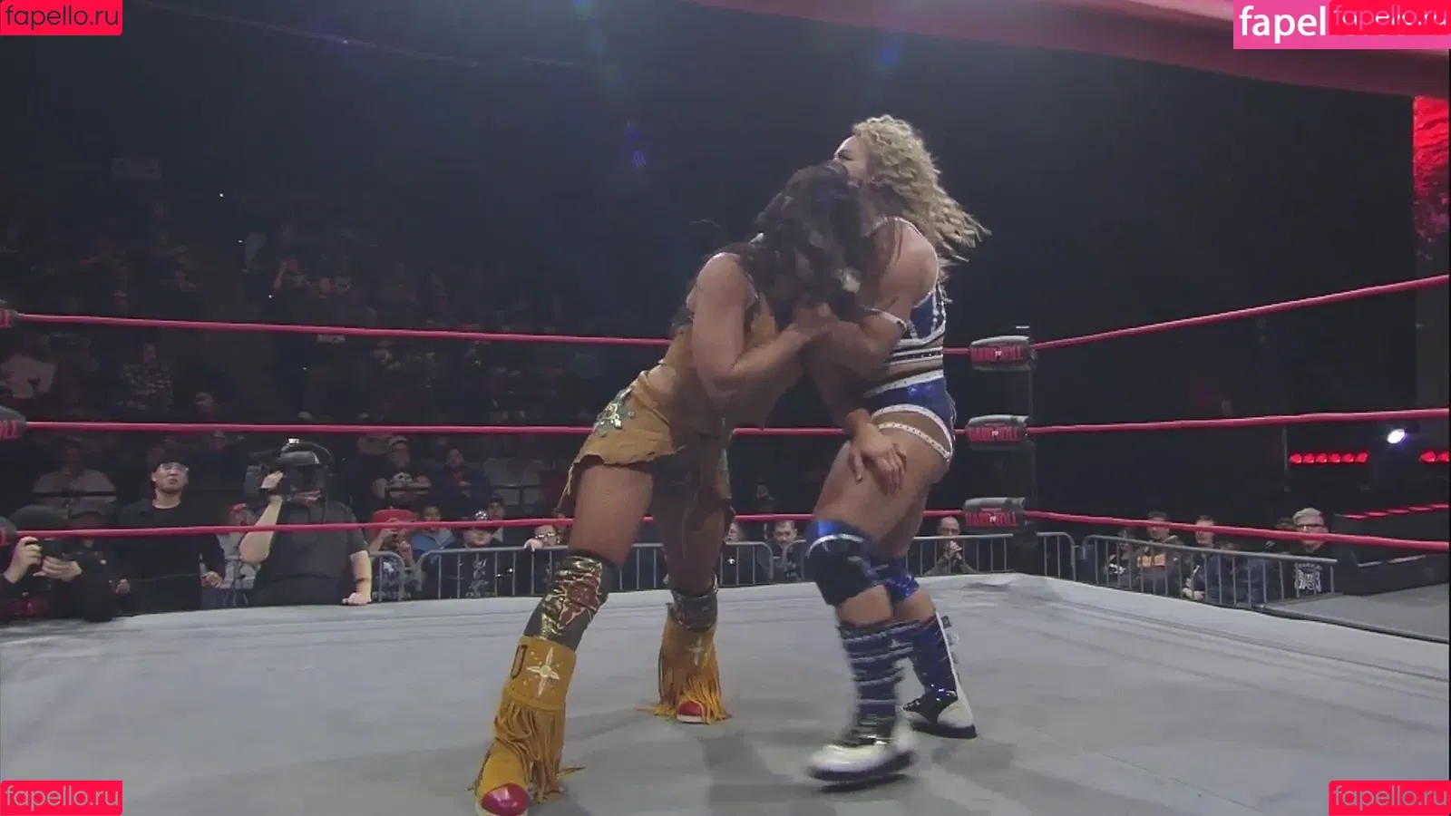 Mickie James Onlyfans Photo Gallery 