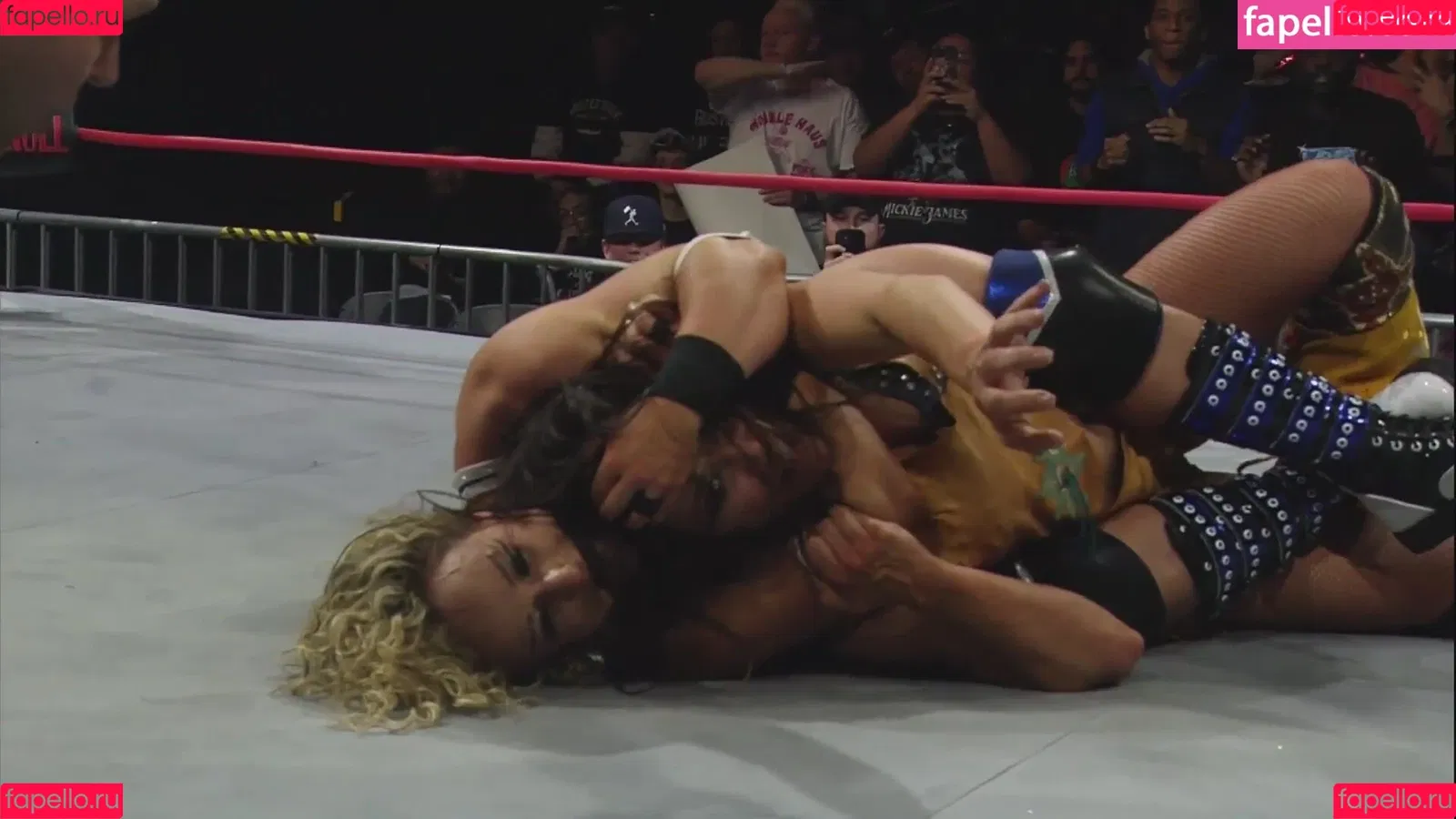 Mickie James Onlyfans Photo Gallery 