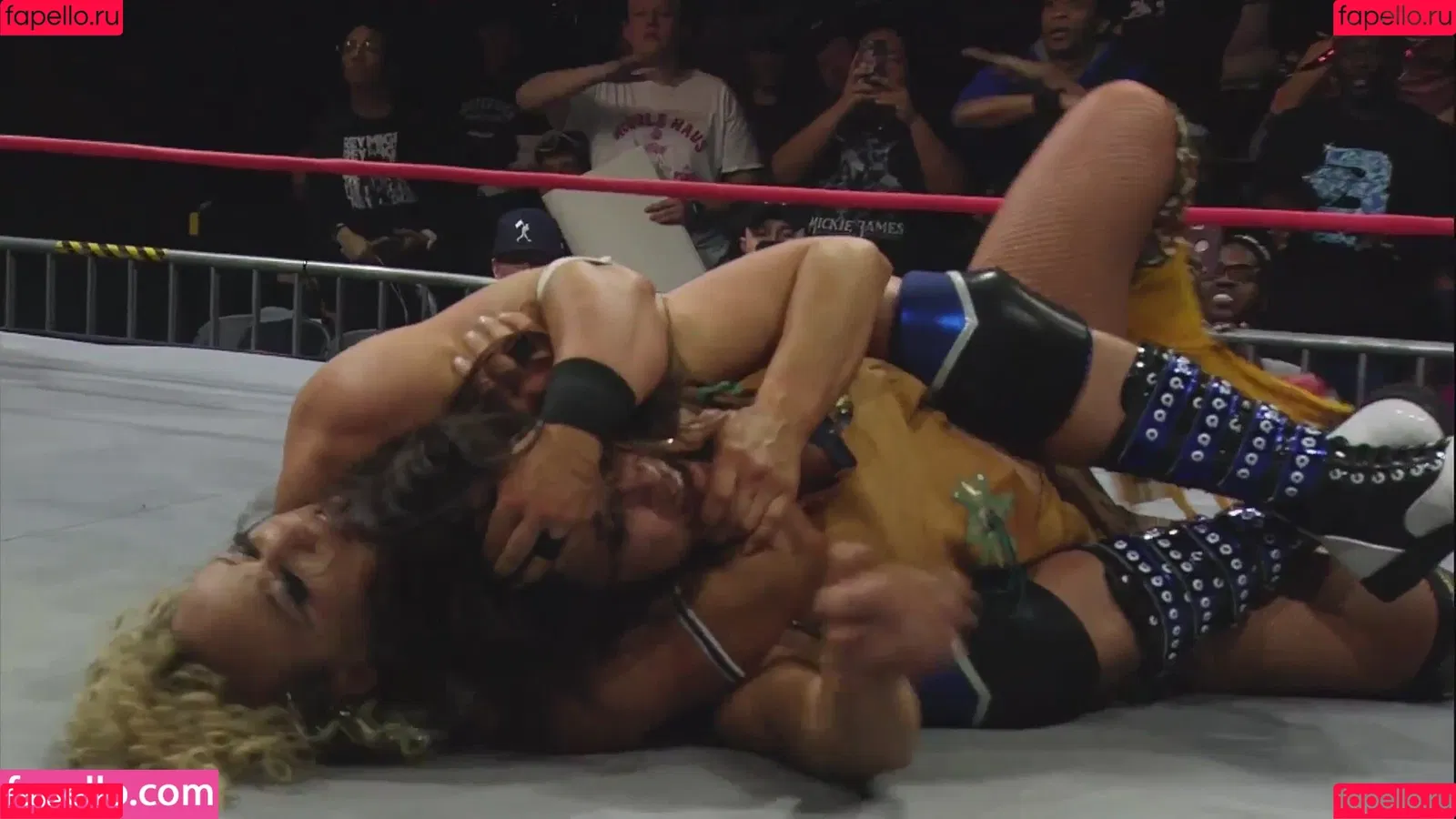 Mickie James Onlyfans Photo Gallery 