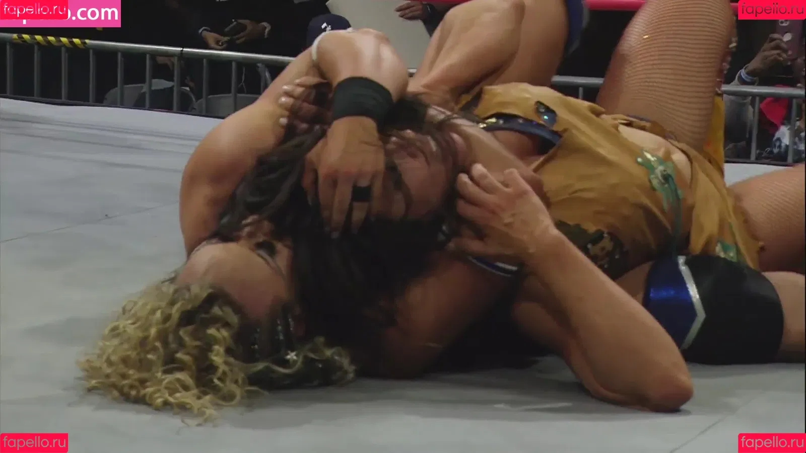 Mickie James Onlyfans Photo Gallery 