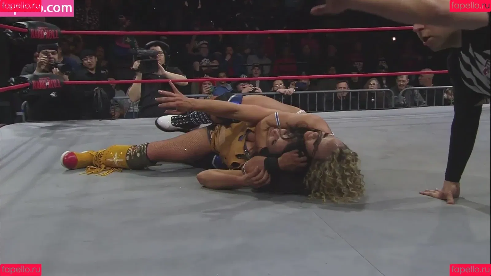 Mickie James Onlyfans Photo Gallery 