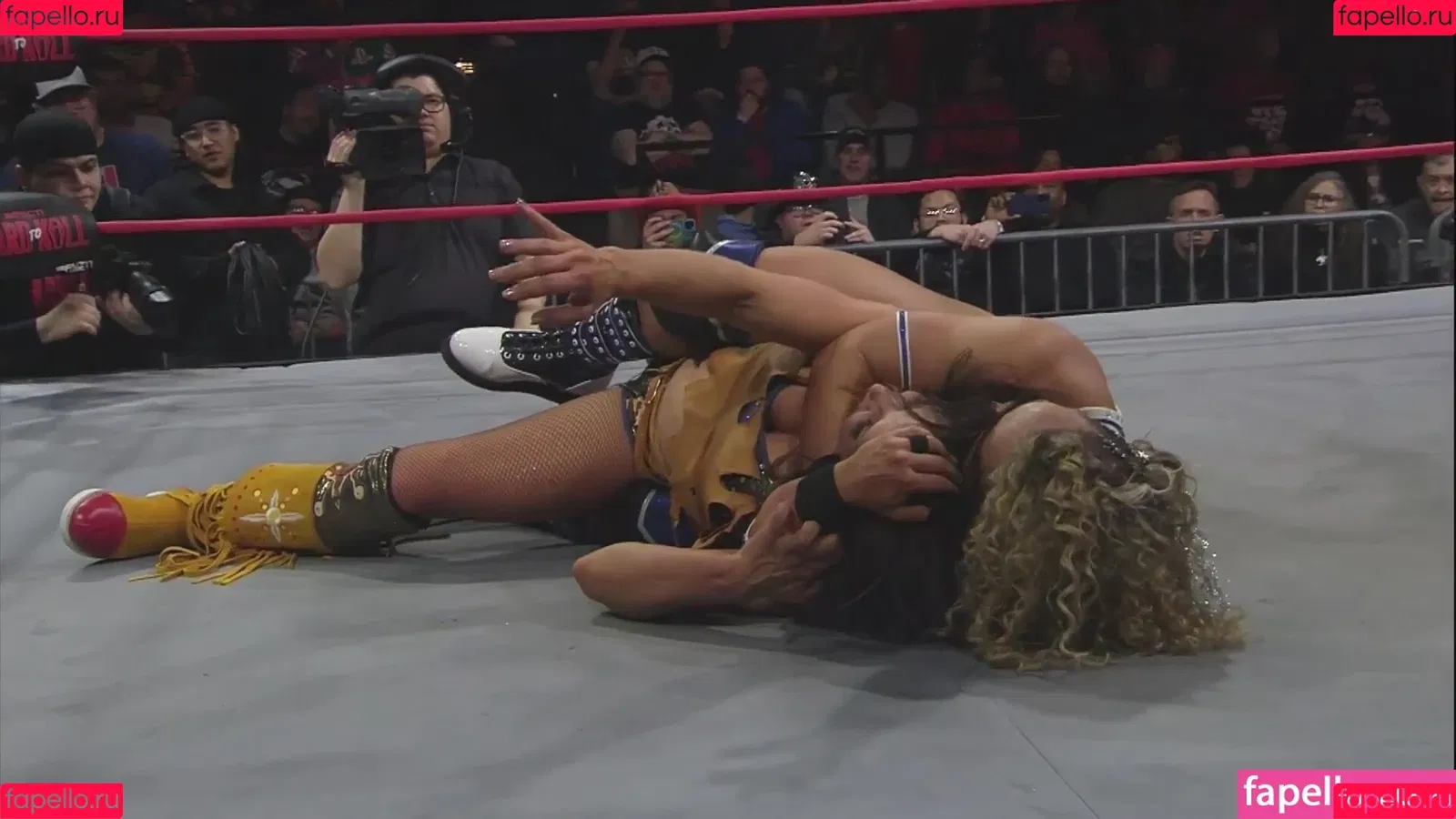 Mickie James Onlyfans Photo Gallery 