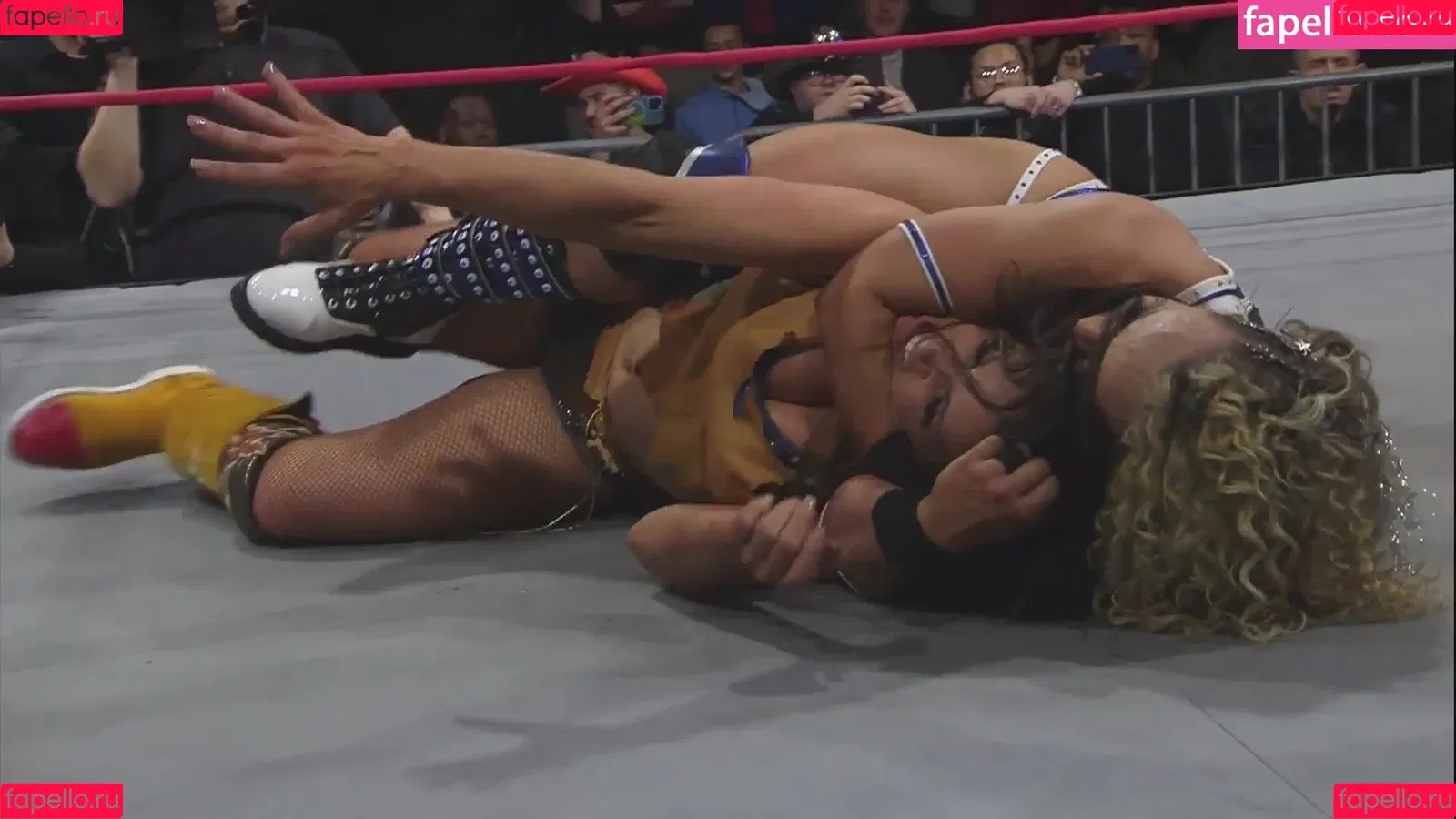 Mickie James Onlyfans Photo Gallery 