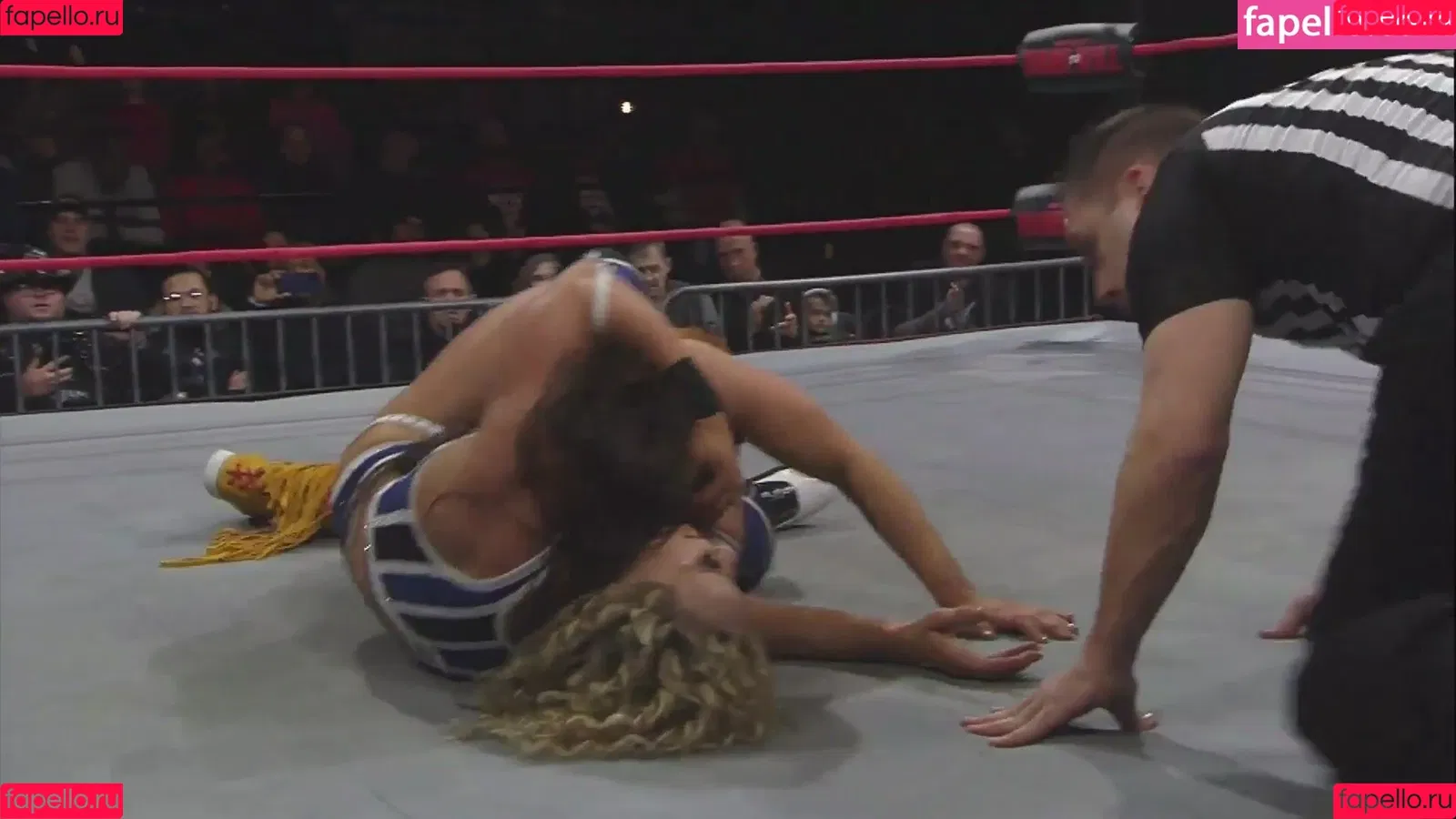 Mickie James Onlyfans Photo Gallery 
