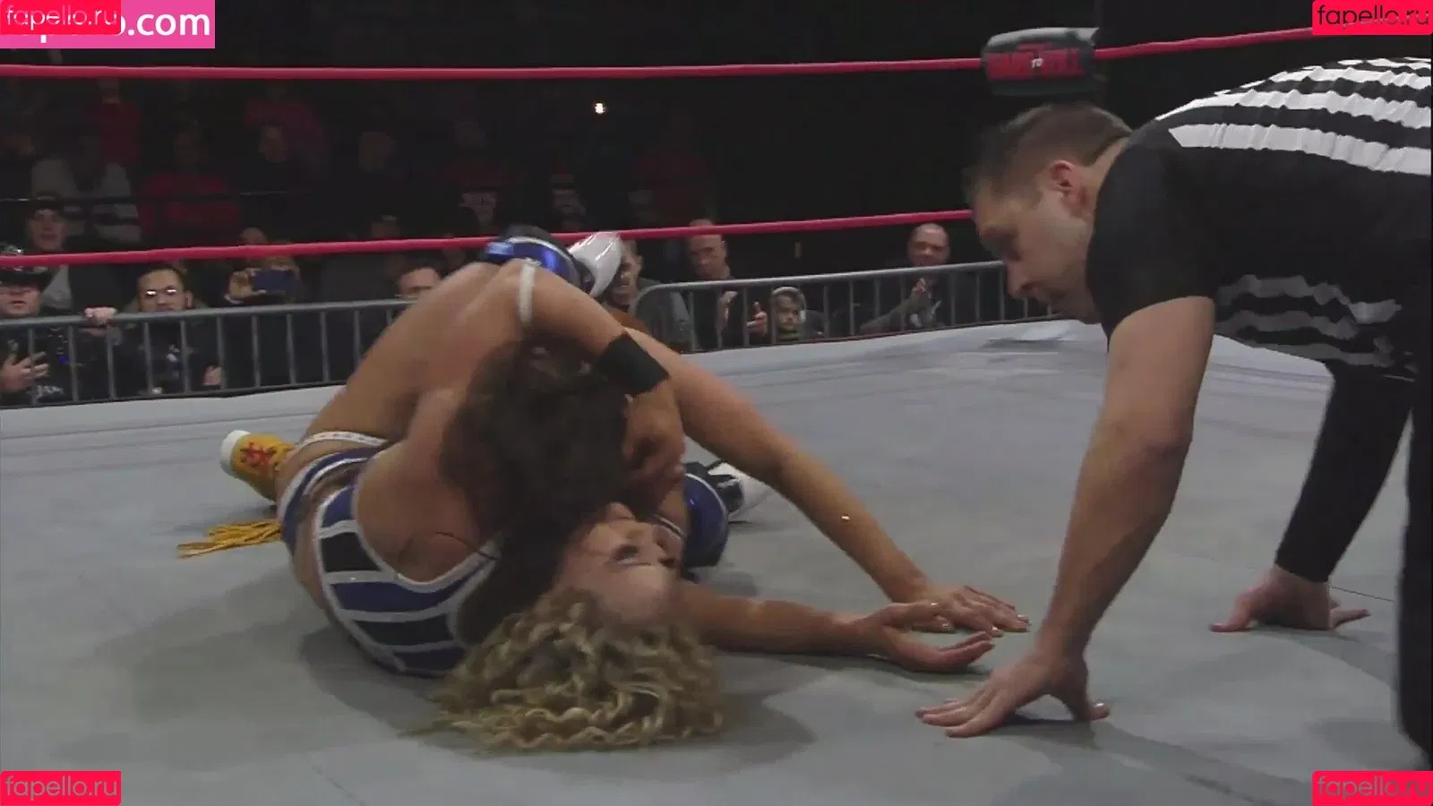 Mickie James Onlyfans Photo Gallery 